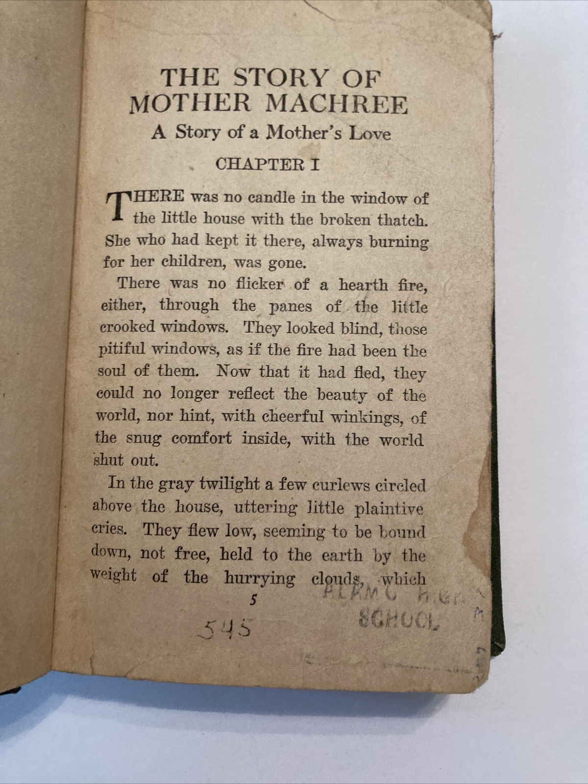 1924 THE STORY OF MOTHER MACHREE A STORY OF A MOTHER’S LOVE Rida Johnson Young