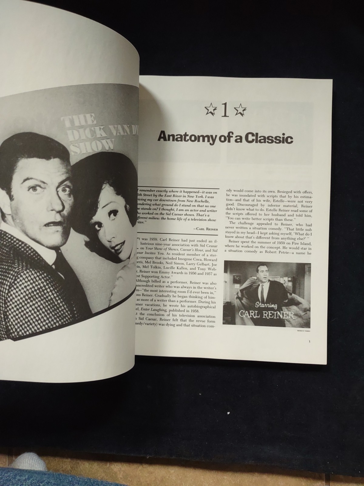 THE DICK VAN DYKE SHOW Ultimate Fan Guide Softcover Book Beautiful New Condition