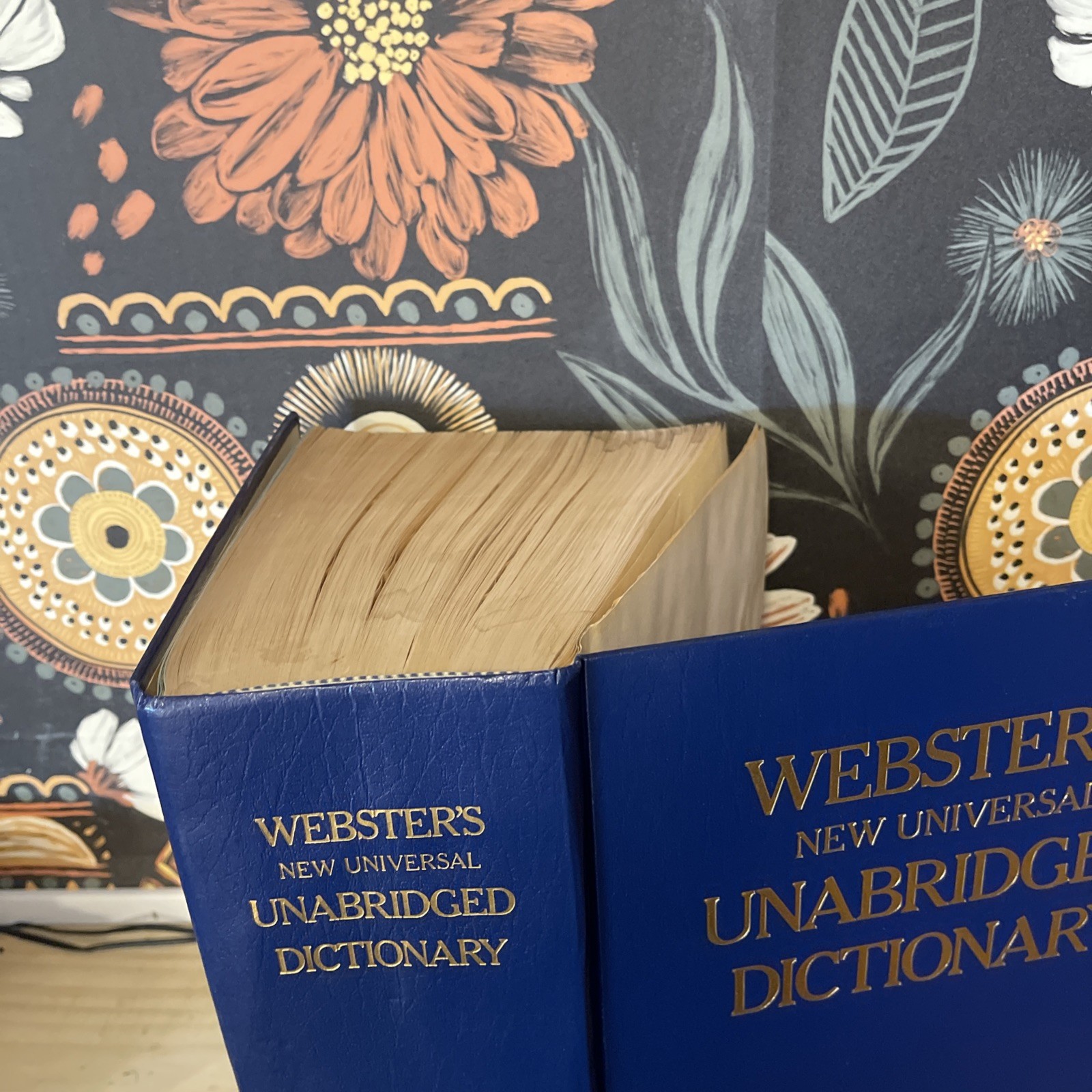 Webster’s New Universal Unabridged Dictionary: Deluxe Second Edition 1979 HC C5