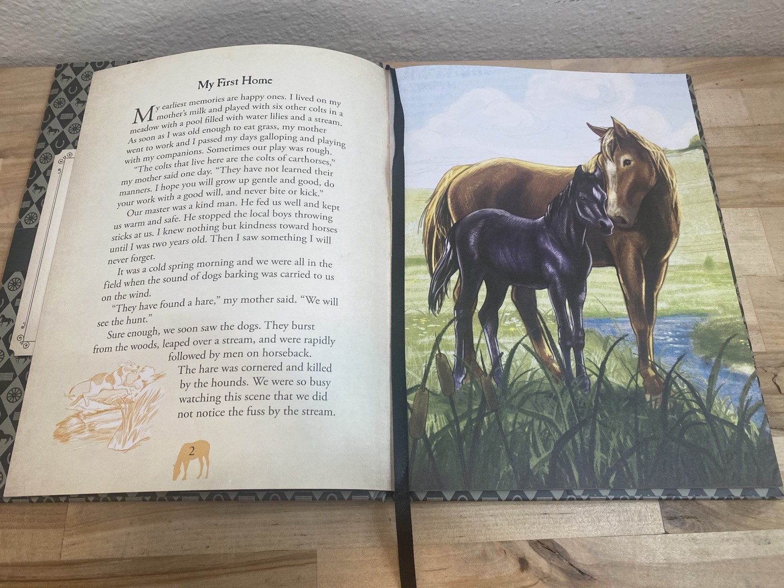 Black Beauty Illustrated Classic by Anna Sewell, Anne Rooney