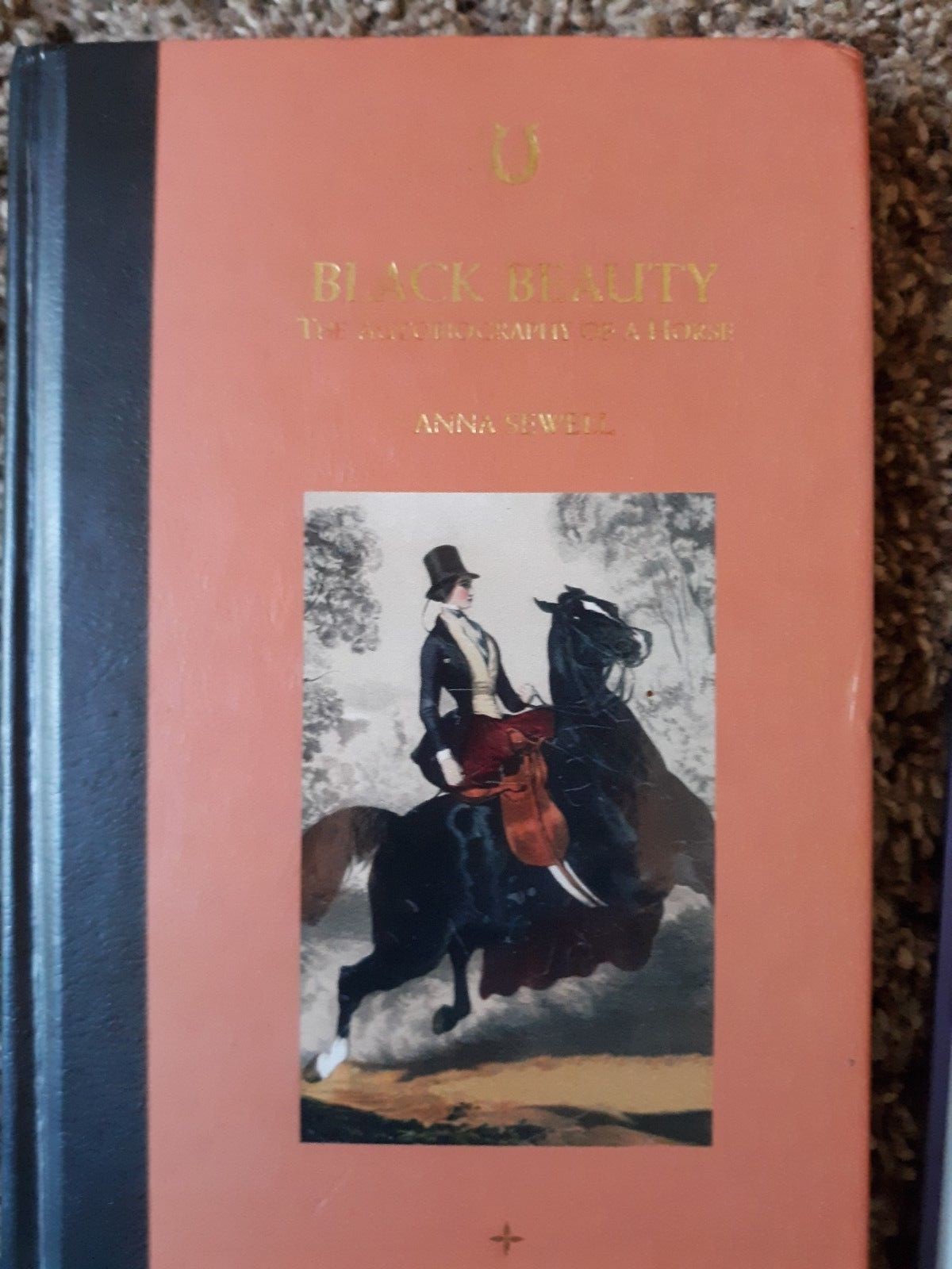 3 Great Reads Books Black Beauty Wizard of Oz Pinocchio