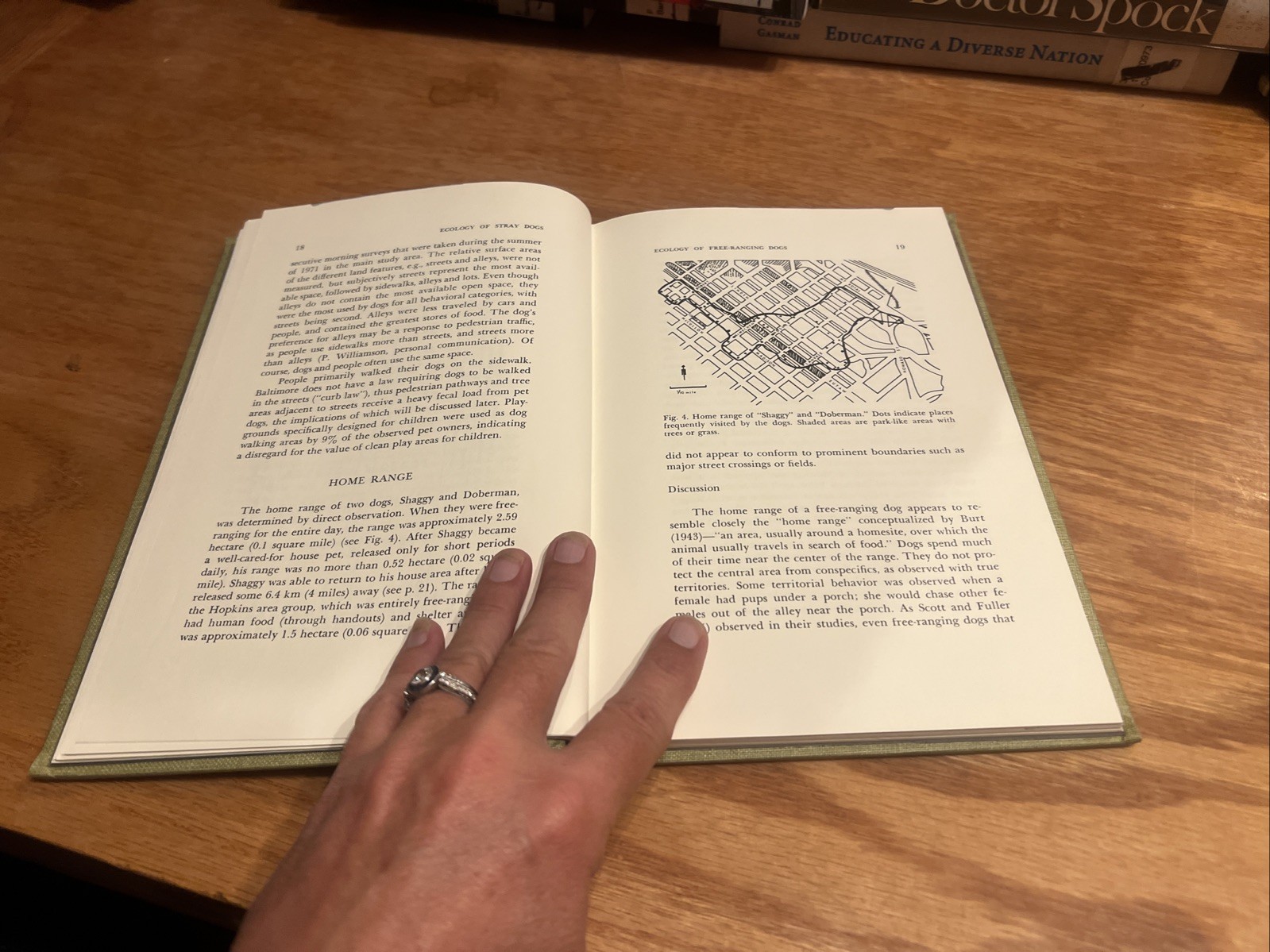 The Ecology of Stray Dogs: Study of Free-Ranging Urban Animals by Beck 1973 HC