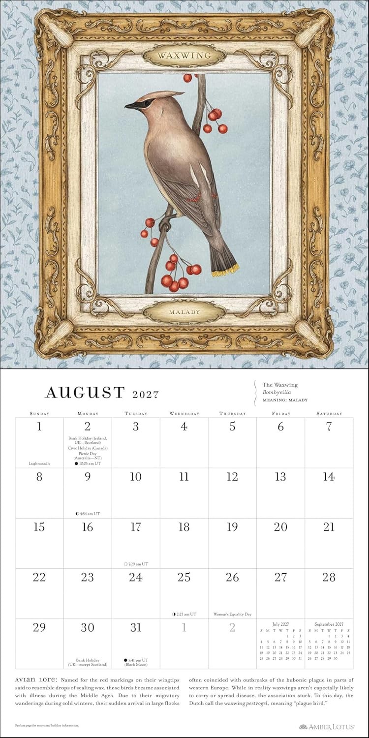 Jessica Roux Ornithography 2027 Wall Calendar: (Paperback) (PRESALE 08/11/2026)