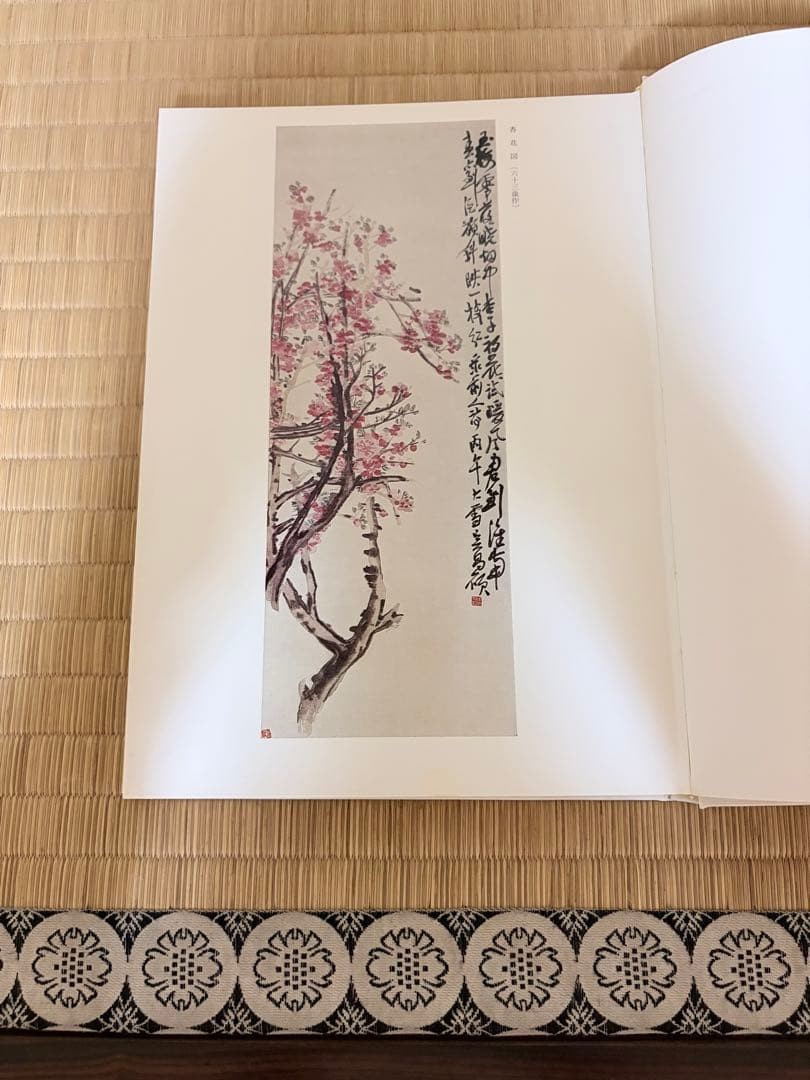 Wu Changshuo Paintings and Praises Aoyama Sugisame Edition Nigensha 31x22cm Har