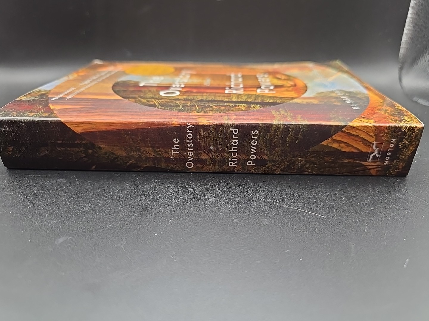 The Overstory : A Novel by Richard Powers (2019, Trade Paperback)