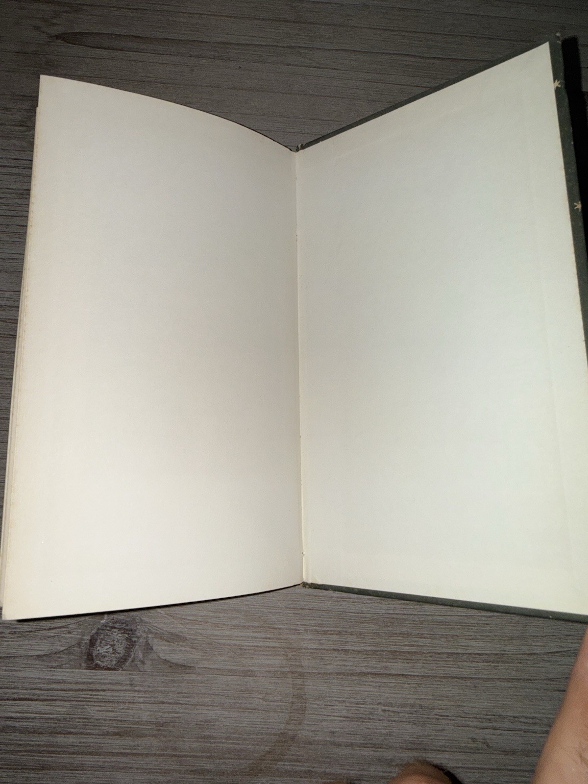 Rubaiyat of Omar Khayyam Peter Pauper Press HC Jeff Hill Illustrated Vintage