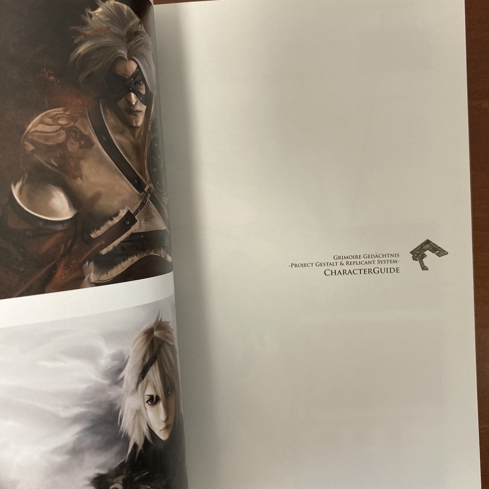 Grimoire NieR Guide Book Art Book Illustration