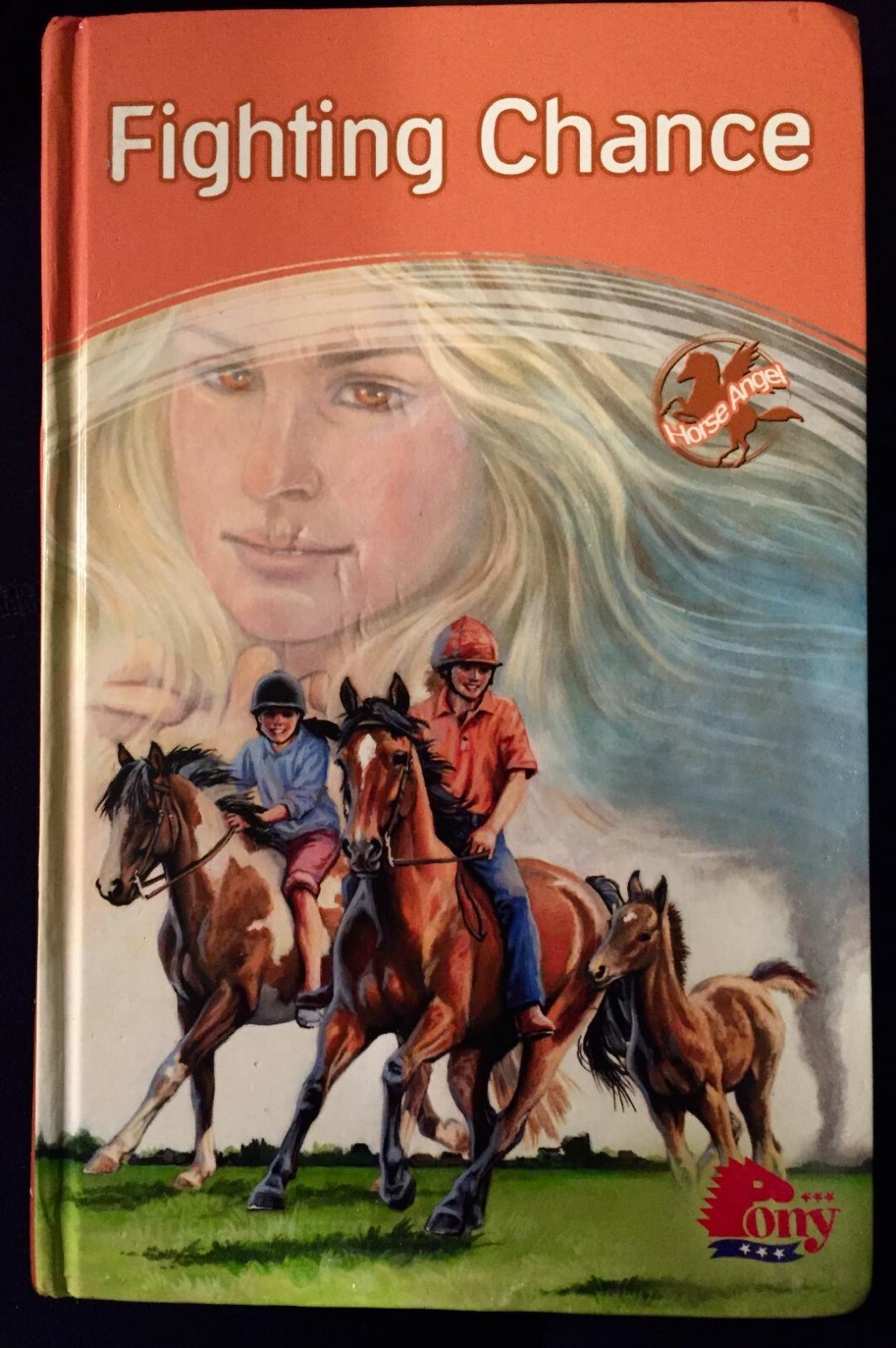 FIGHTING CHANCE, Angela Dorsey, Hard Cover, 2008, Illustrated with Drawings,Fair