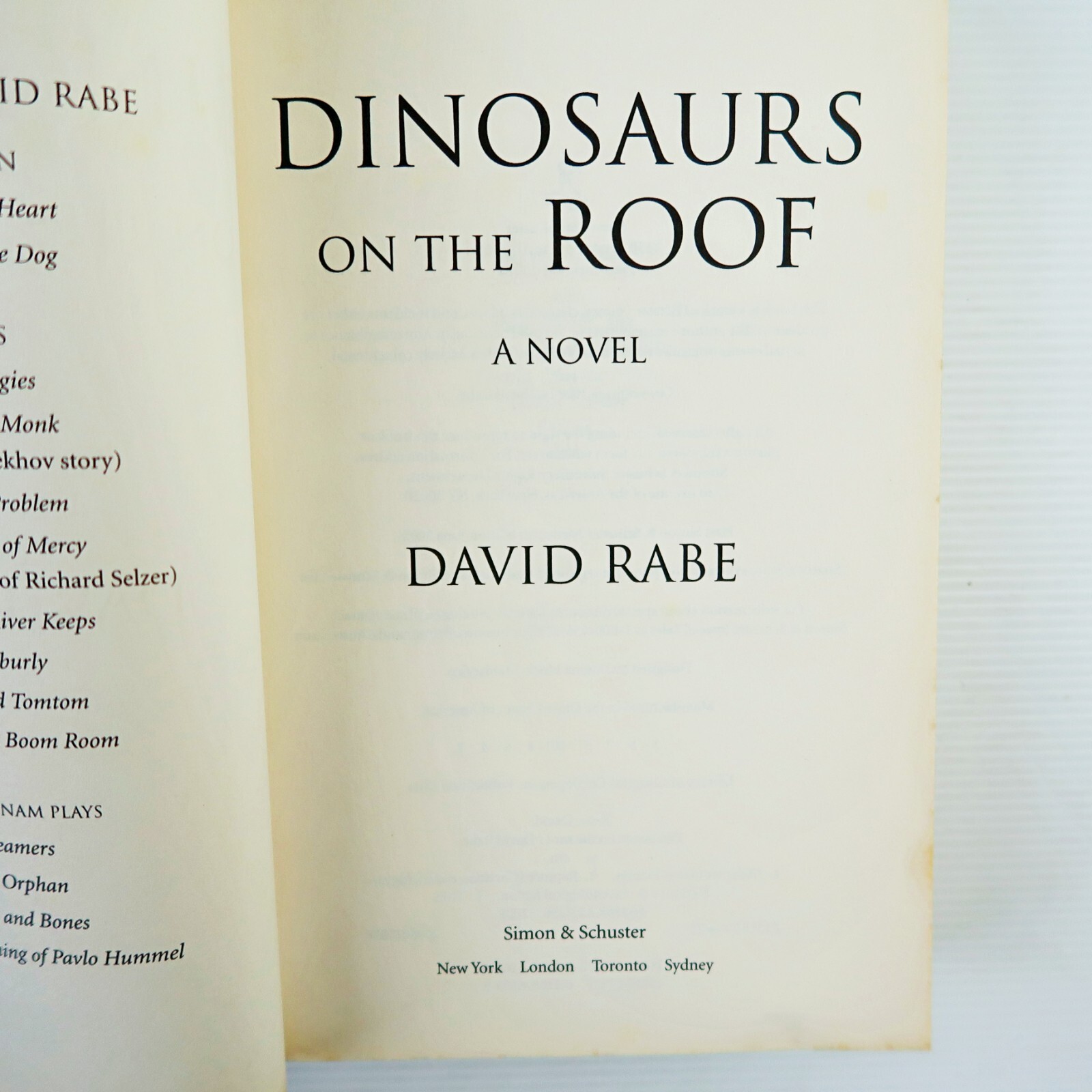 Dinosaurs on the Roof: a Novel (Paperback 2009)
