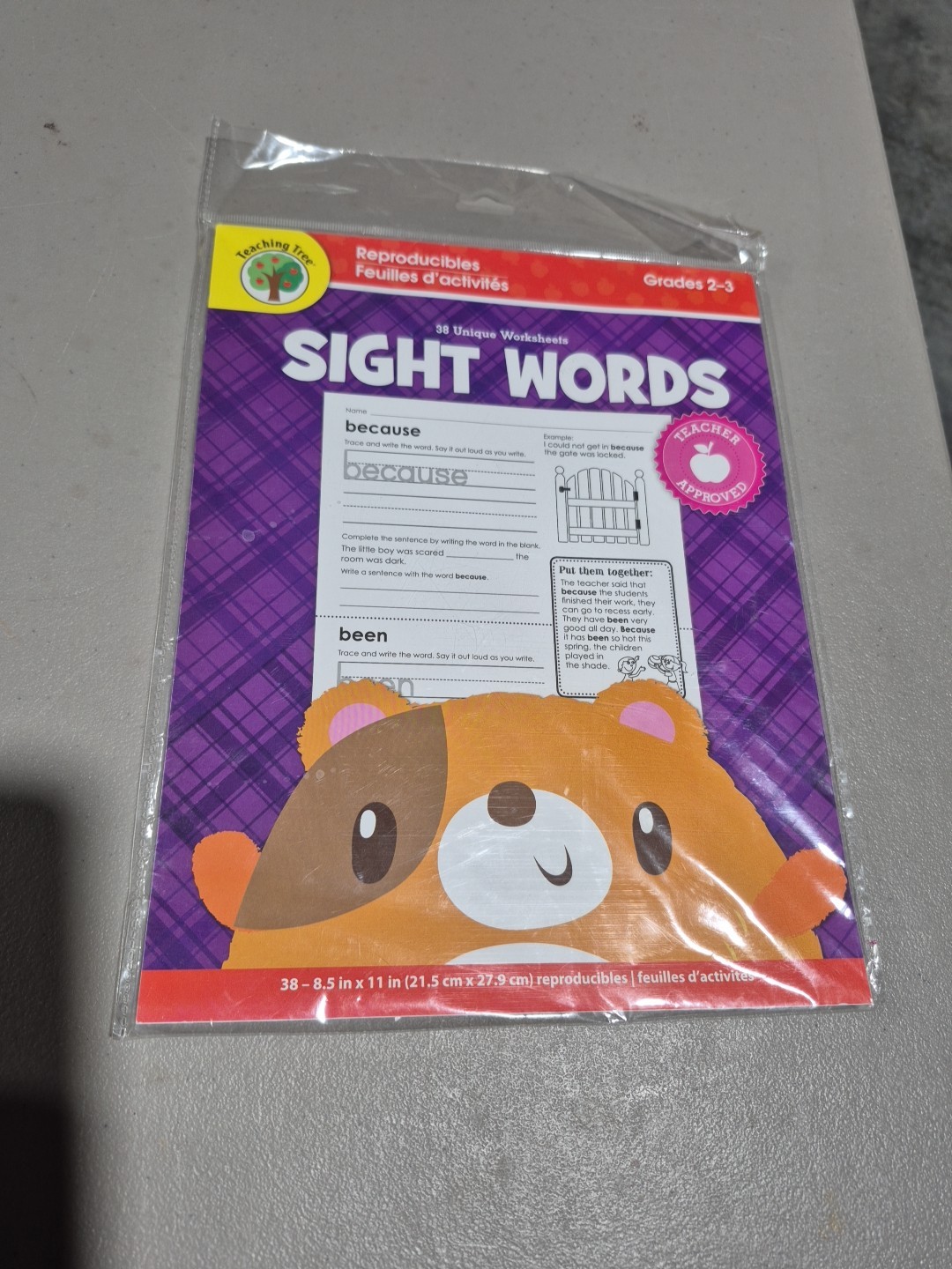 Reproducible Educational Sheets Workbook ~ Grades 2 – 3 ~ 38 Unique Worksheets