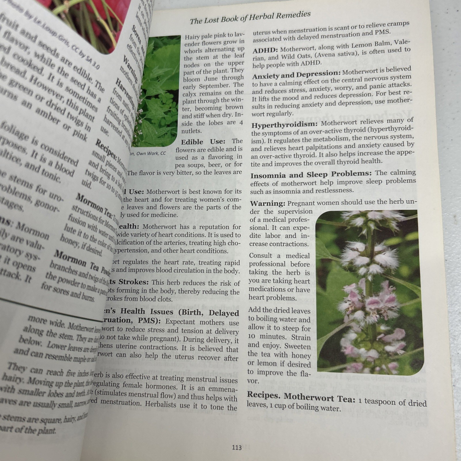 The Lost Book of Herbal Remedies by Davis & Apelian 2020 Paperback
