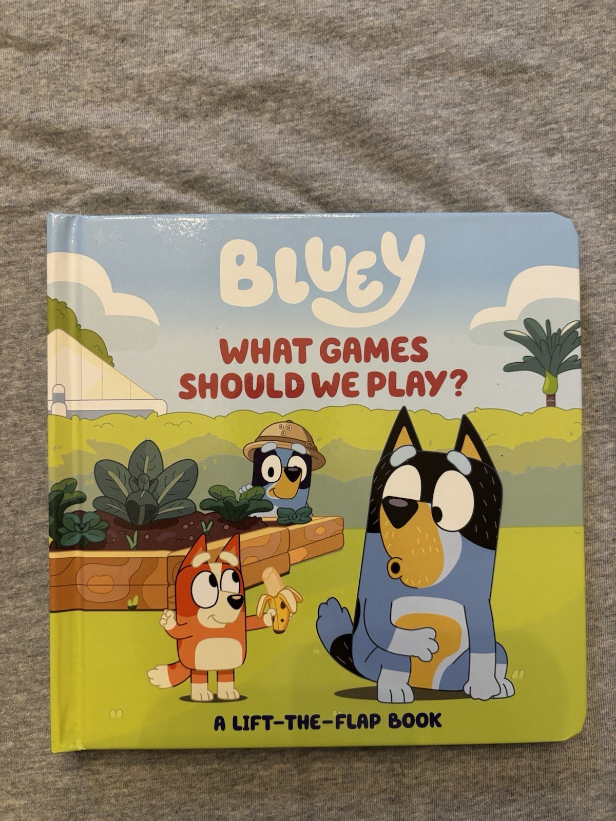 Lot Of 5 Bluey Books. 4 Hardcover And One Paperback