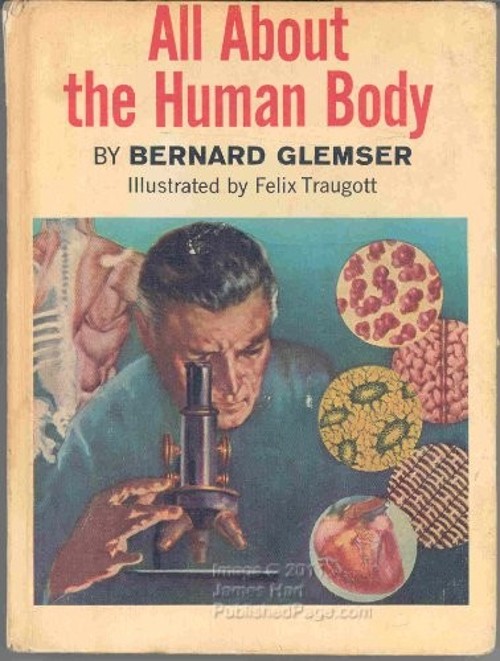 All About the Human Body Hardcover Bernard Glemser