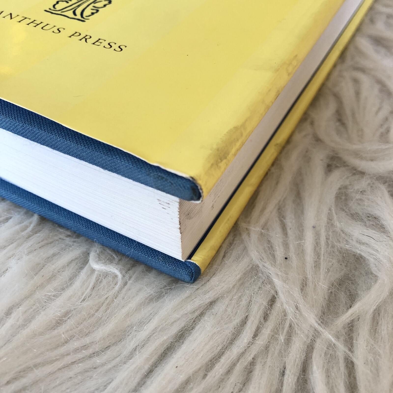 Elsie de Wolfe, the Birth of Modern Interior Design Acanthus Press Yellow Book