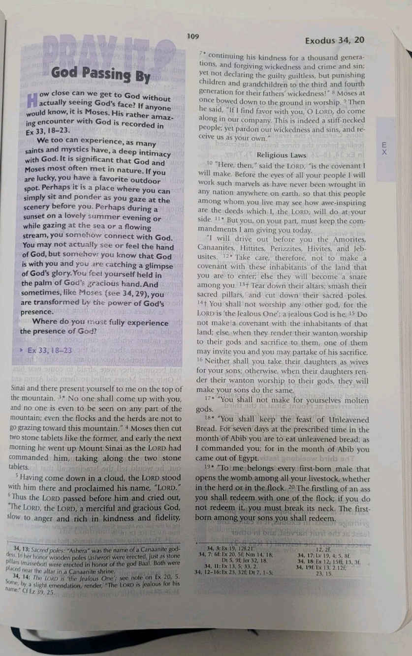 Catholic Youth Bible! In Great Shape