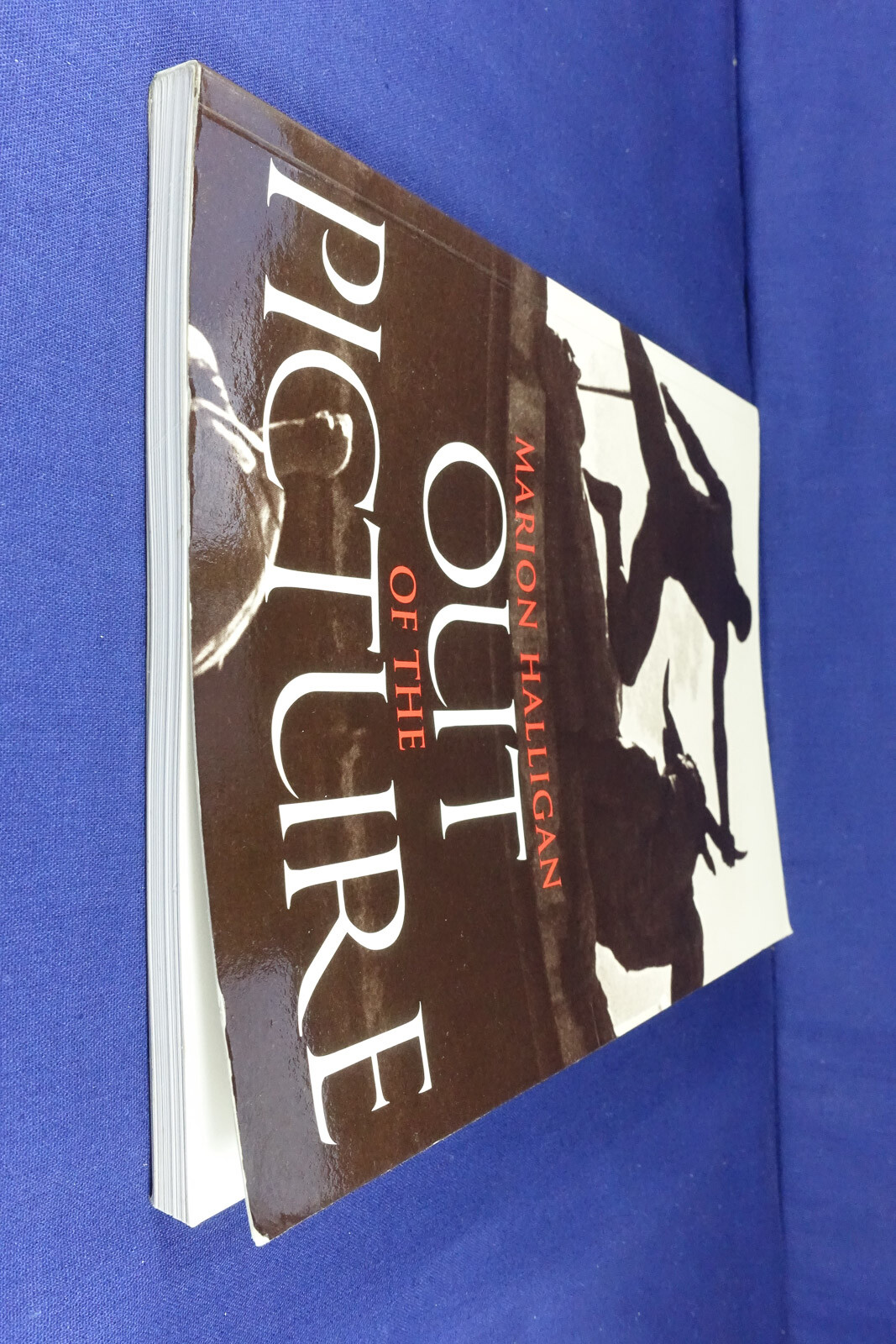 OUT OF THE PICTURE Marion Halligan SHORT STORIES & PHOTOS FROM NATIONAL LIBRARY