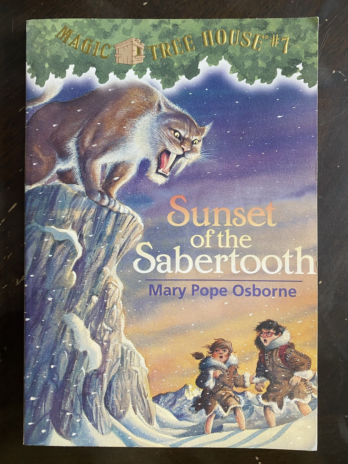 Magic Tree House Volumes 5-8 Set: Night of the Ni… by Osborne, Mary Pope