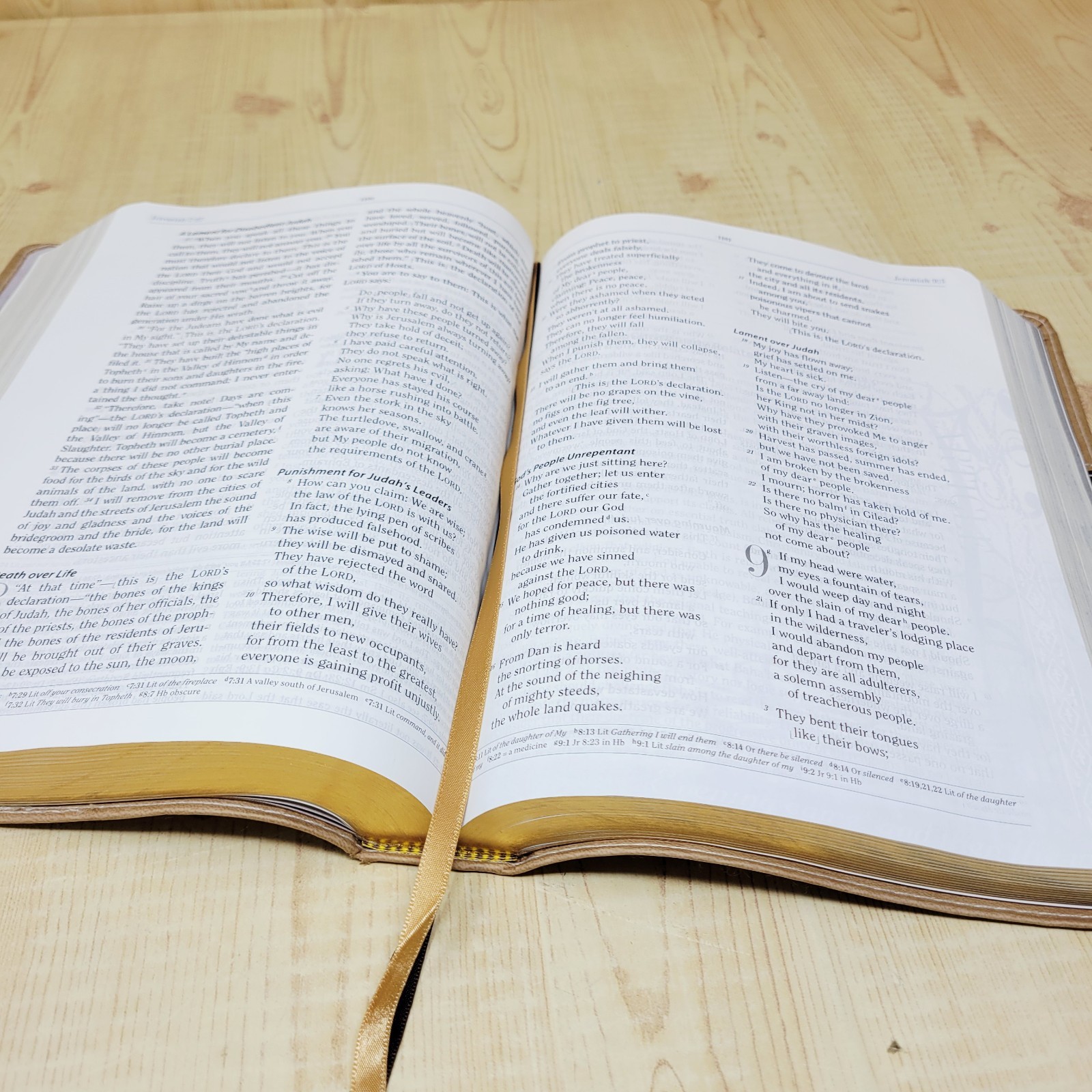 HCSB Apologetics Study Bible Brown DuoTone Simulated Leather