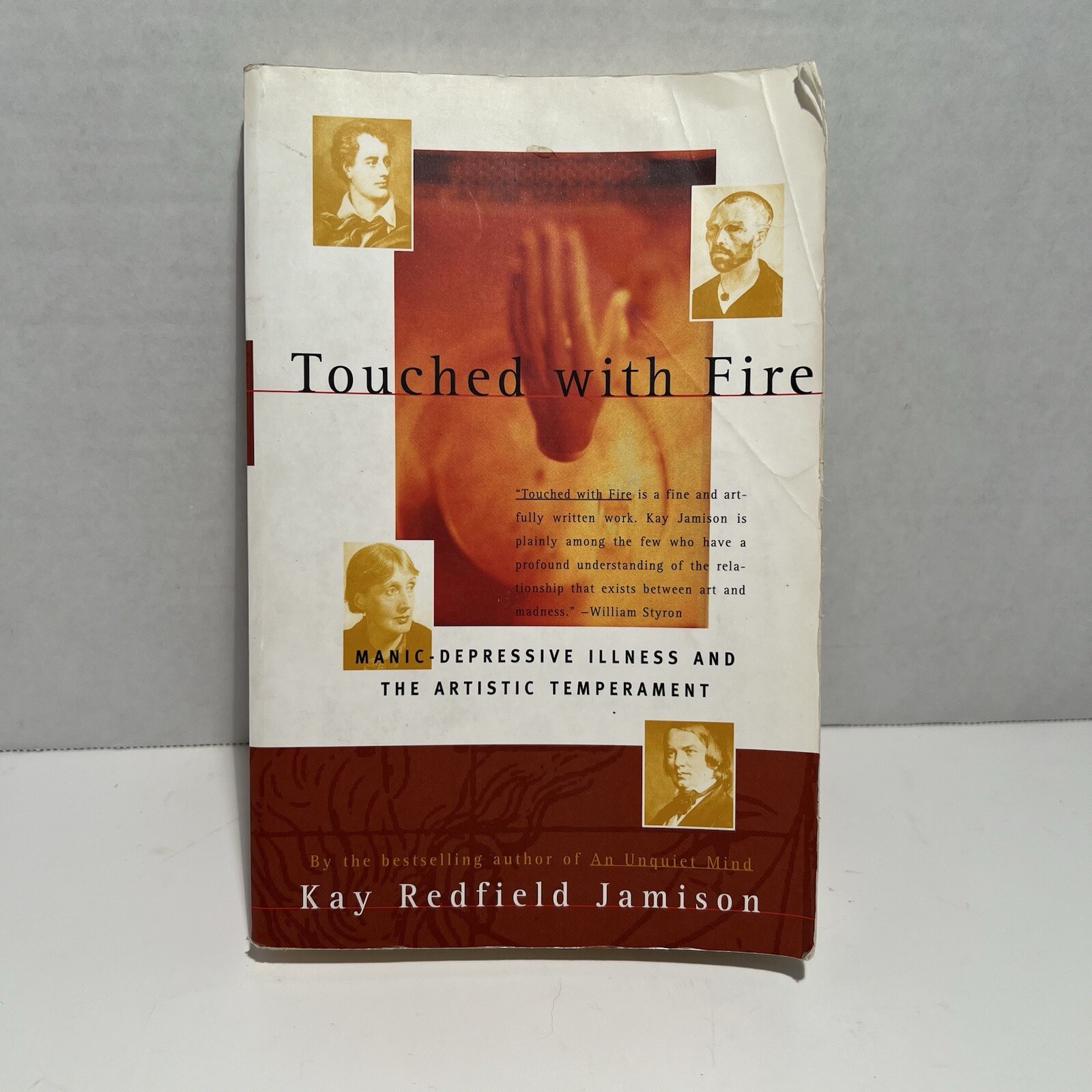 Touched with Fire: Manic-Depressive Illness and the Artistic Temperament – GOOD