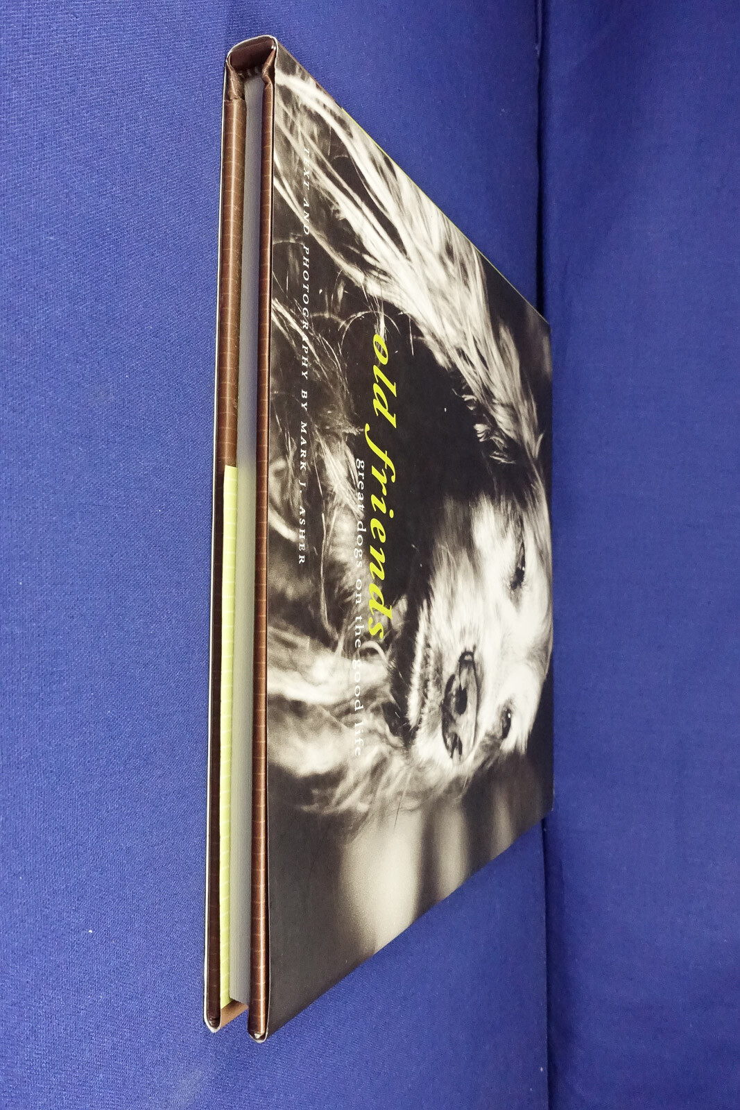 OLD FRIENDS Mark Asher GREAT DOGS ON THE GOOD LIFE Dog Photo Photography Book