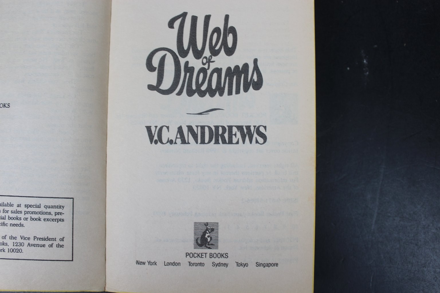 Web of Dreams V.C. Andrews 1990 First Printing Paperback Gothic Pocket Books PB