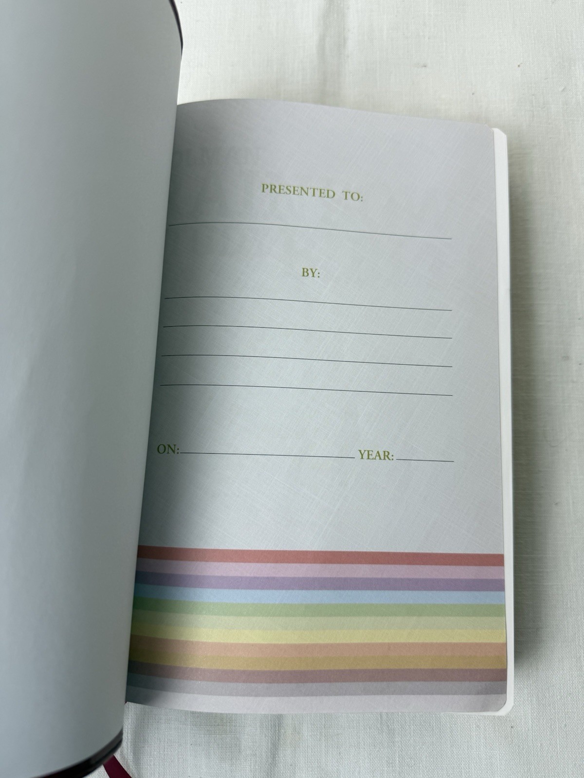 Holman Rainbow Study Bible NIV Holy Scriptures New International Version Leather