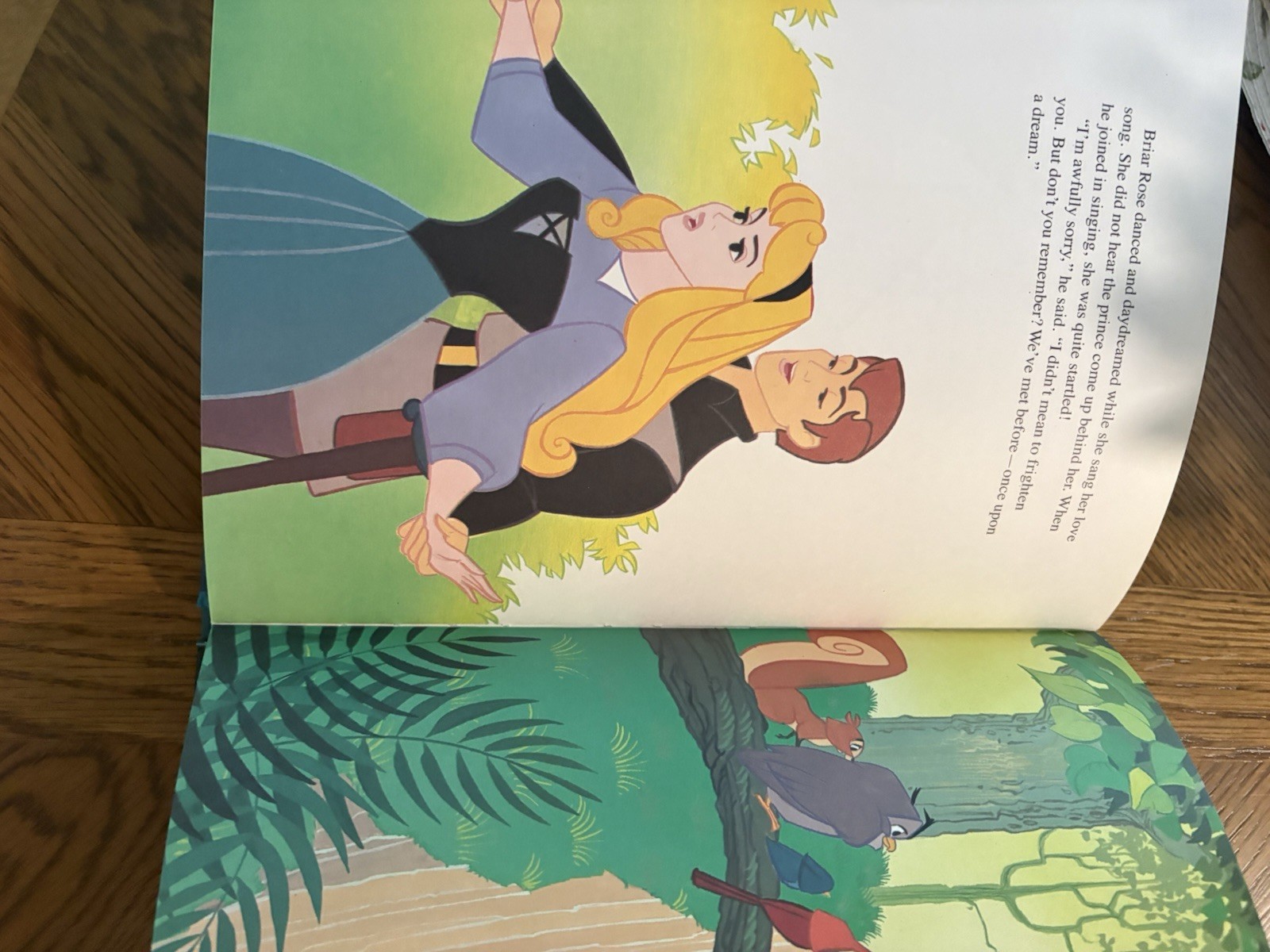 NEW DISNEY CLASSIC SERIES, SLEEPING BEAUTY TWIN BOOKS 1986 Large Hardcover