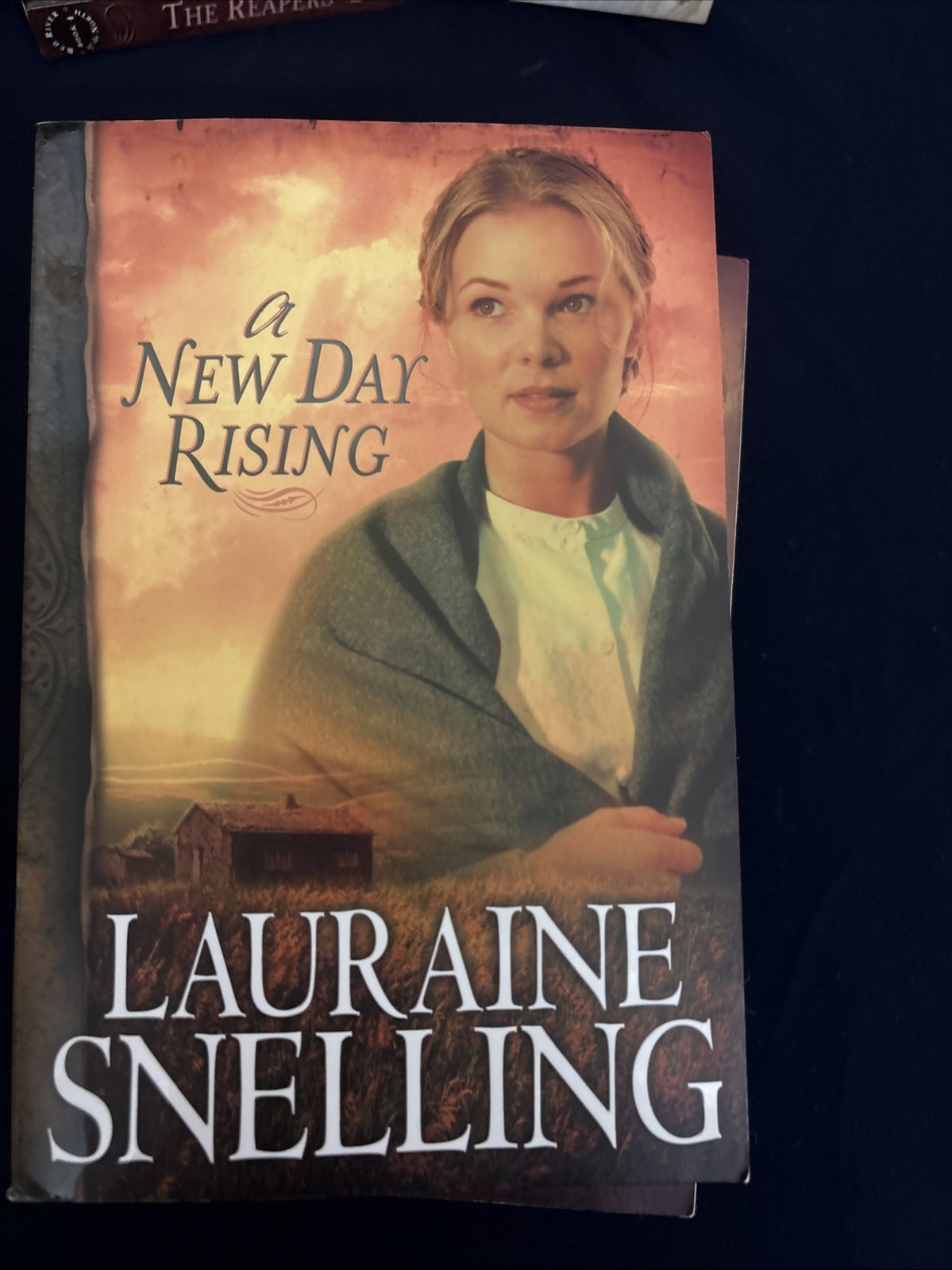 8 Lauraine Snelling Books. Like New