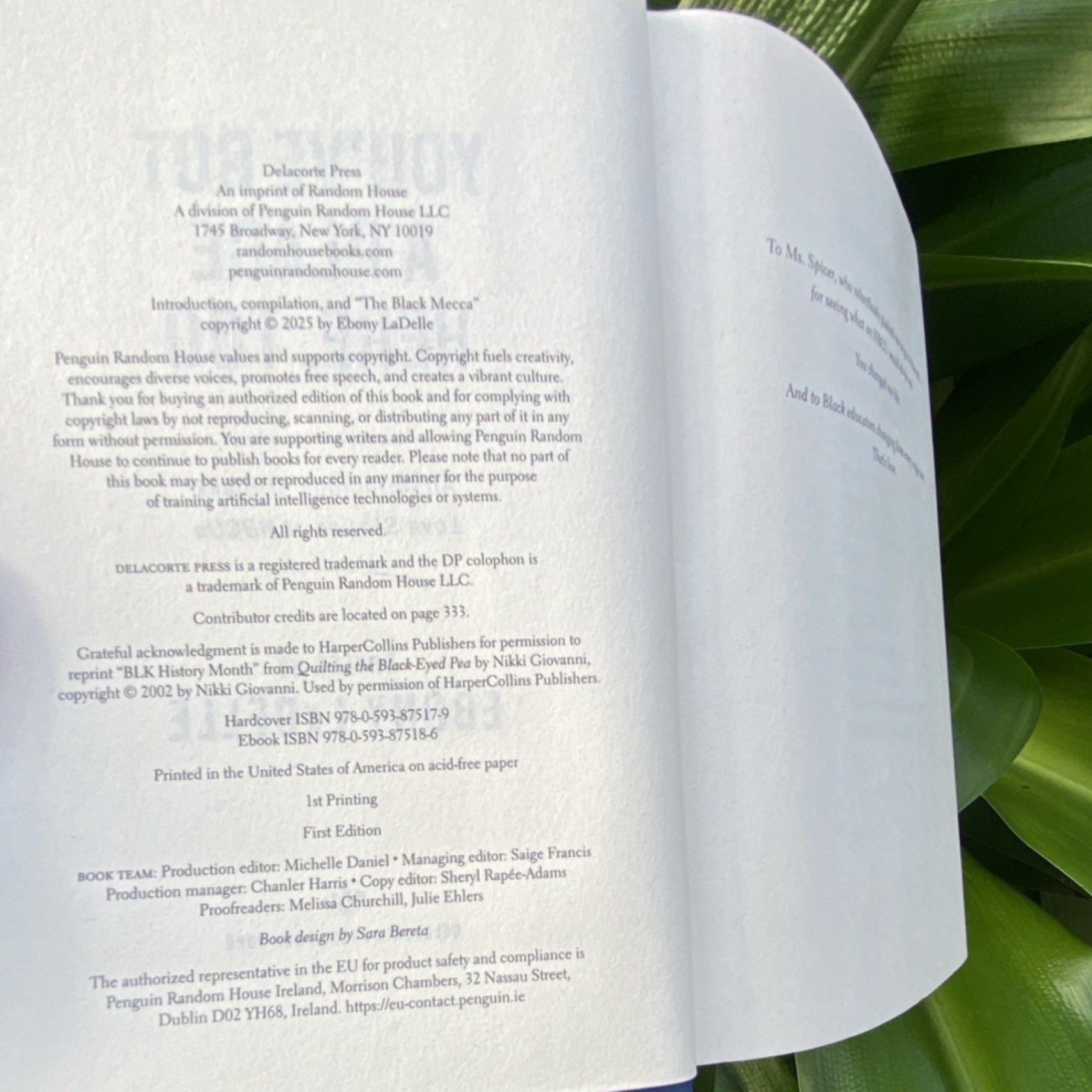 Delacorte Press You’ve Got a Place Here, Too Hardcover 1st Ed Anthology LaDelle