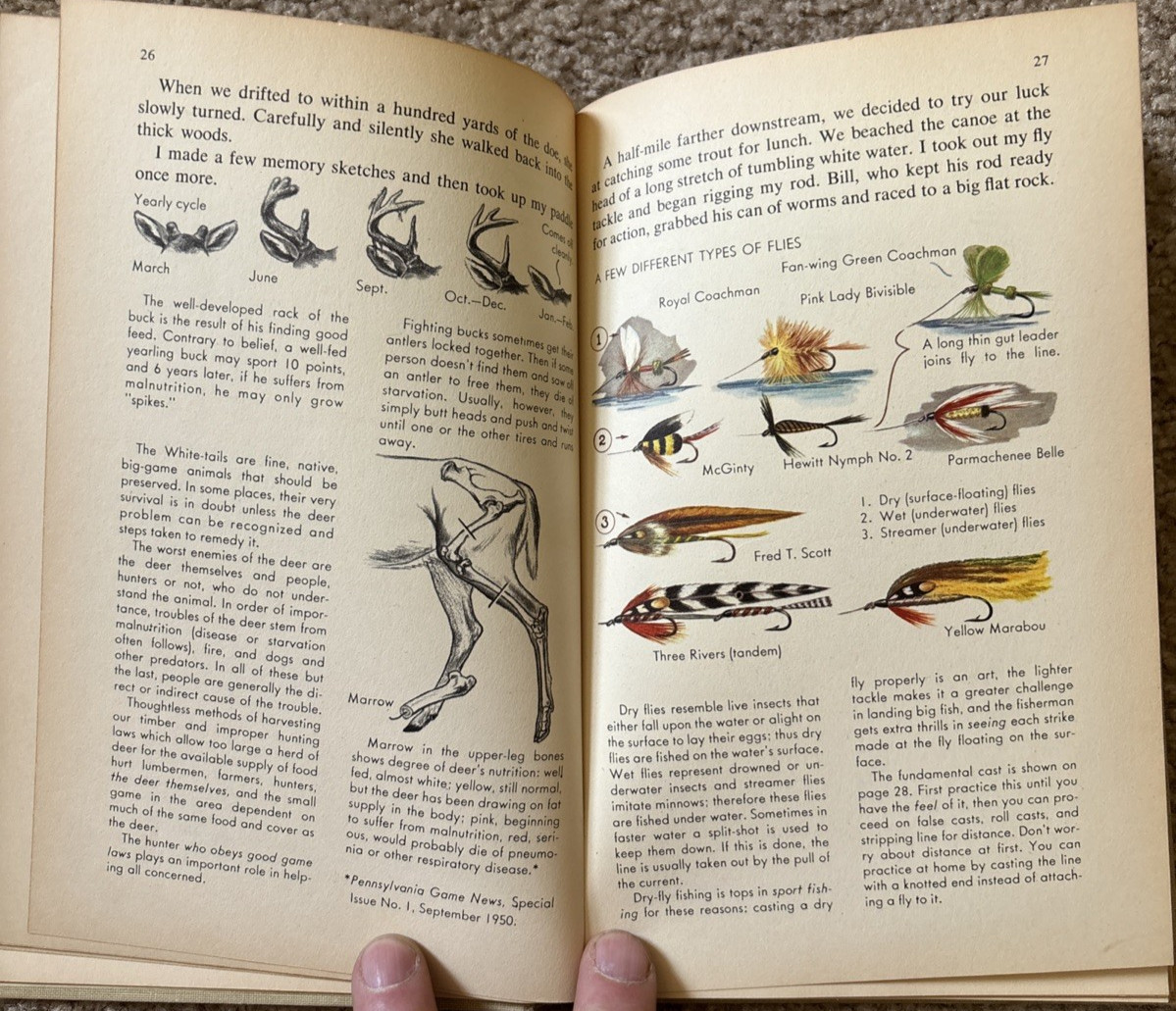 VTG Nature Notebook Robert Candy 1953 HC