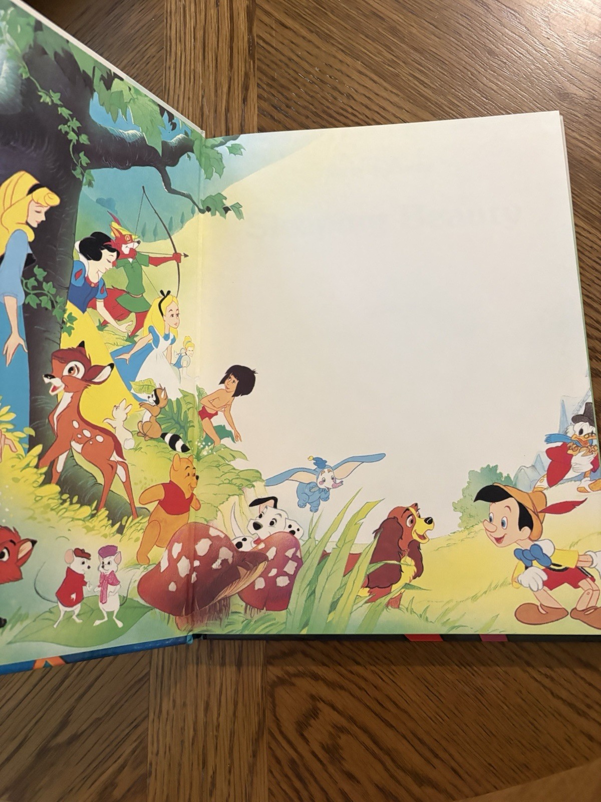 NEW DISNEY CLASSIC SERIES, SLEEPING BEAUTY TWIN BOOKS 1986 Large Hardcover