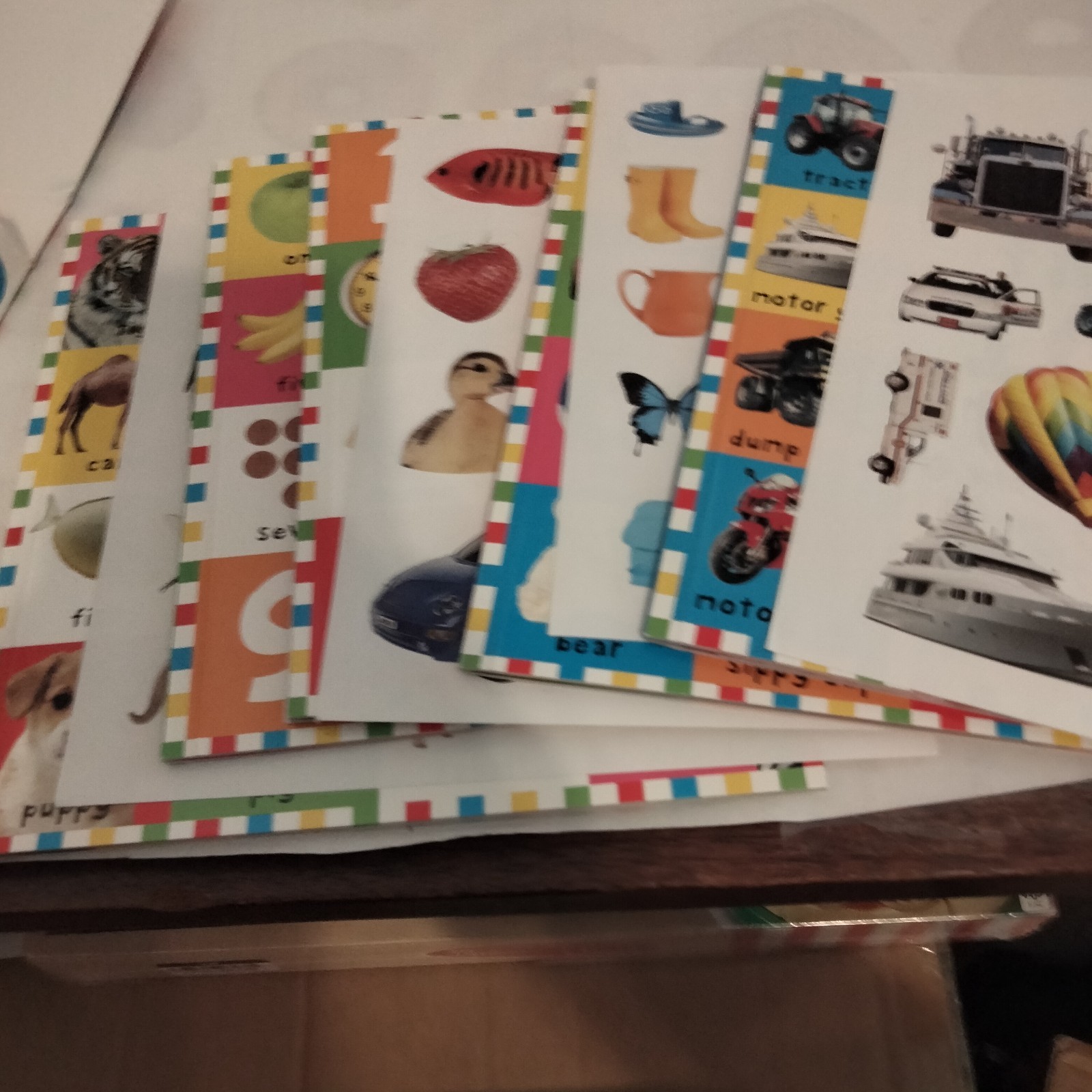 First 100 PB Box Set (5 Books) : First 100 Words; First 100 Animals; First…