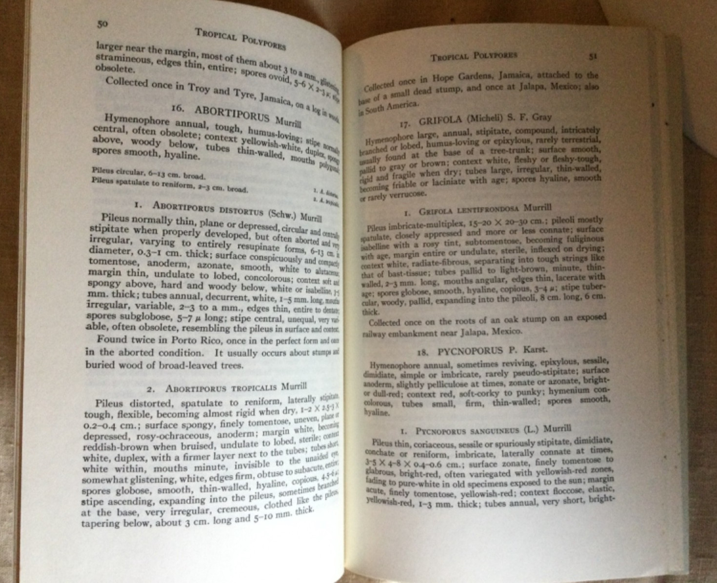 Tropical Polypores by Murrill, William A. Reprint 1973