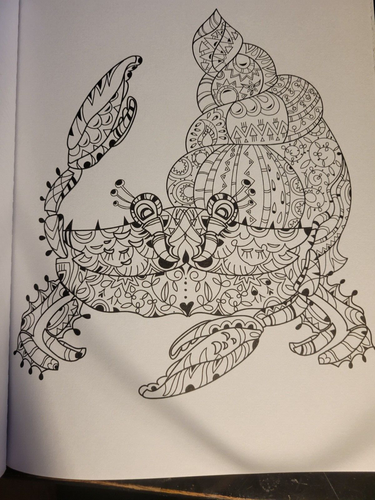 MAGNIFICENT CREATURES Vol 13 Adult Coloring Book by TOPIX MEDIA – 47 PRINTS