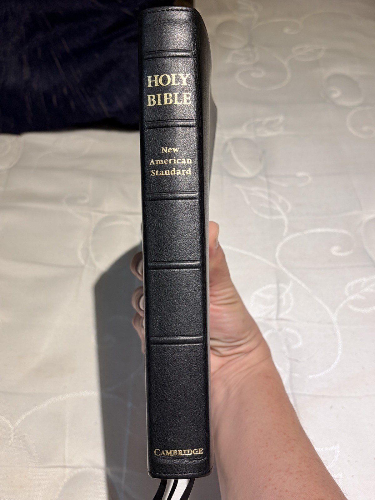 bible study books
