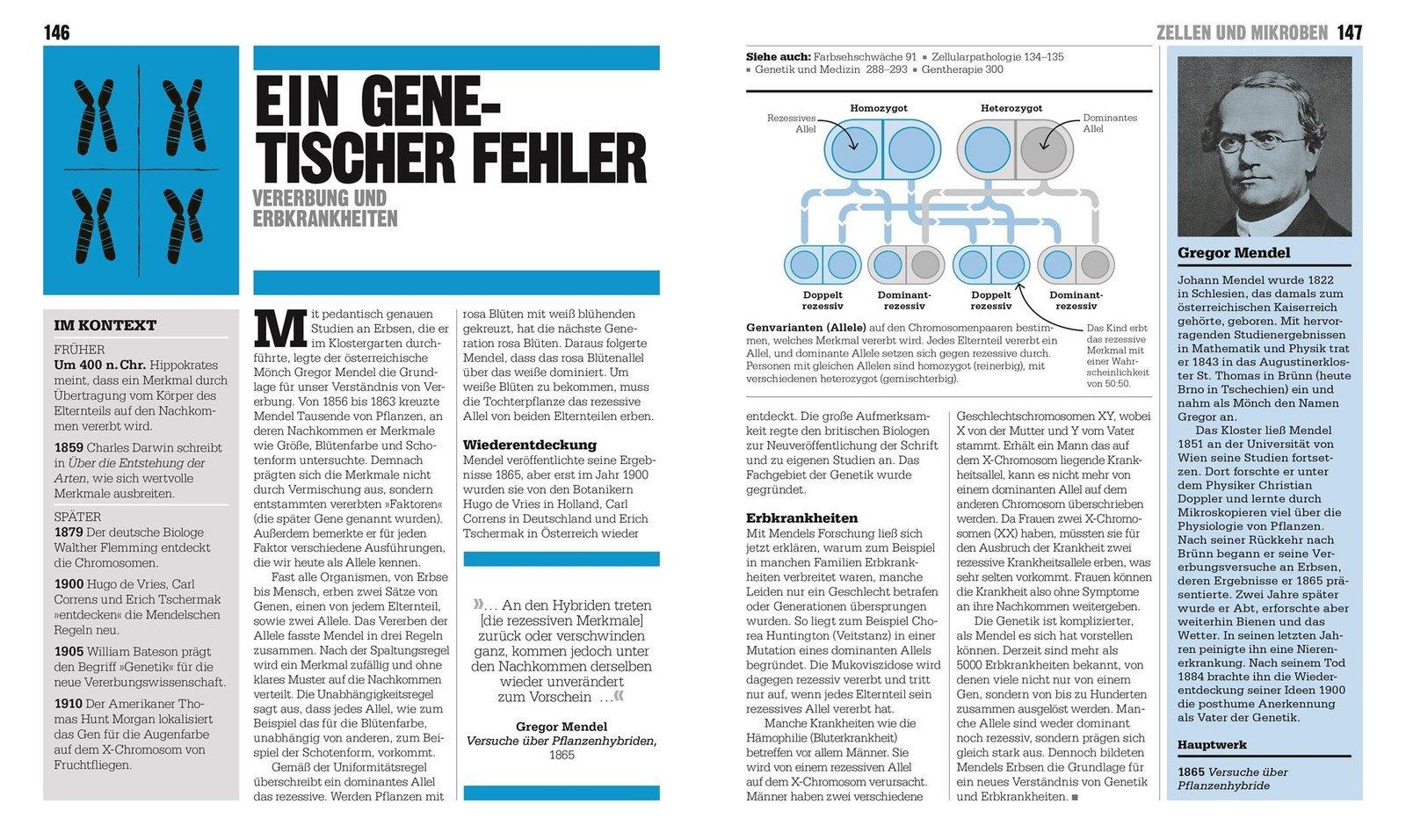 Steve Parker Big Ideas. Das Medizin-Buch