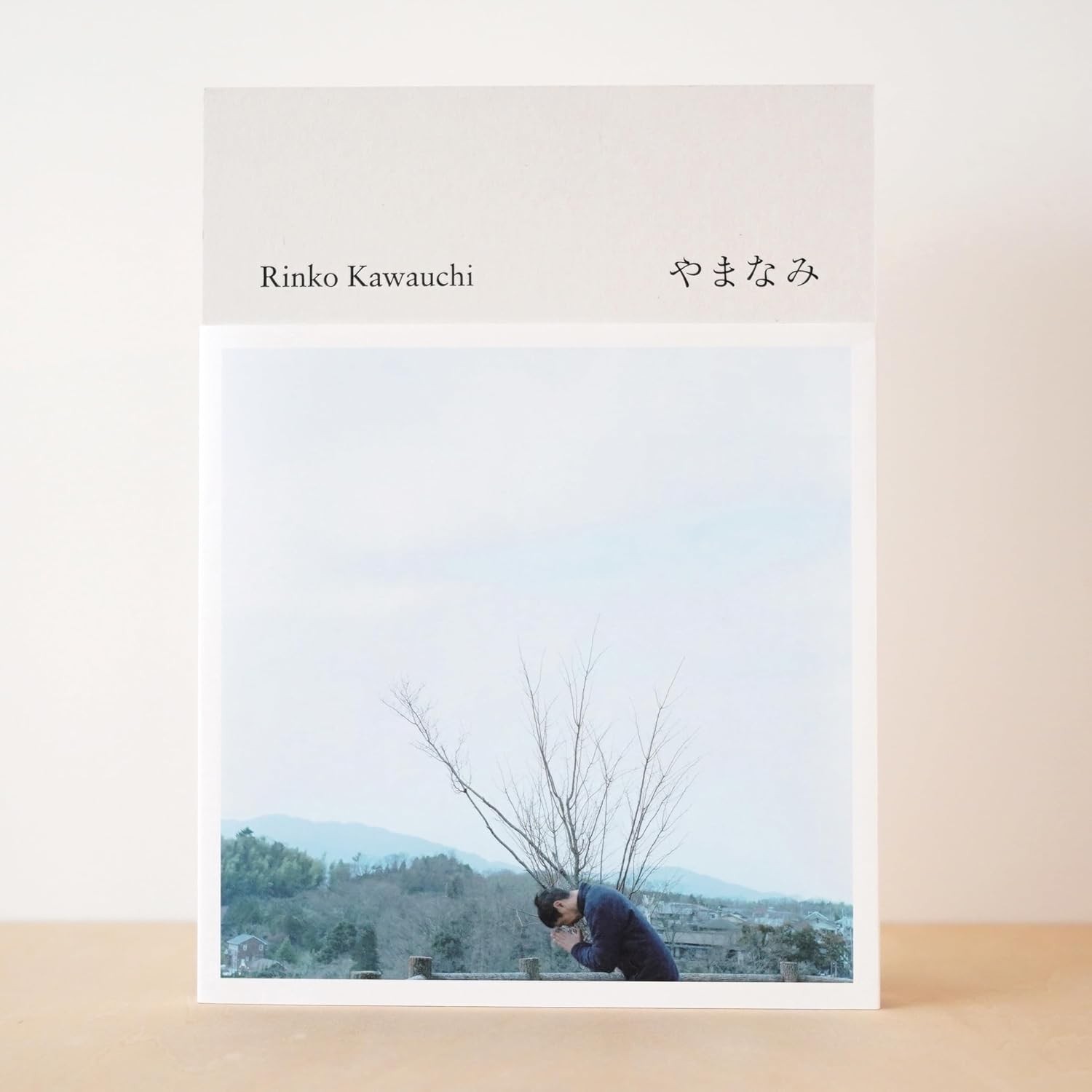 Rinko Kawauchi Yamanami Where Art Brut talent gathers Photo album 2022 from JP
