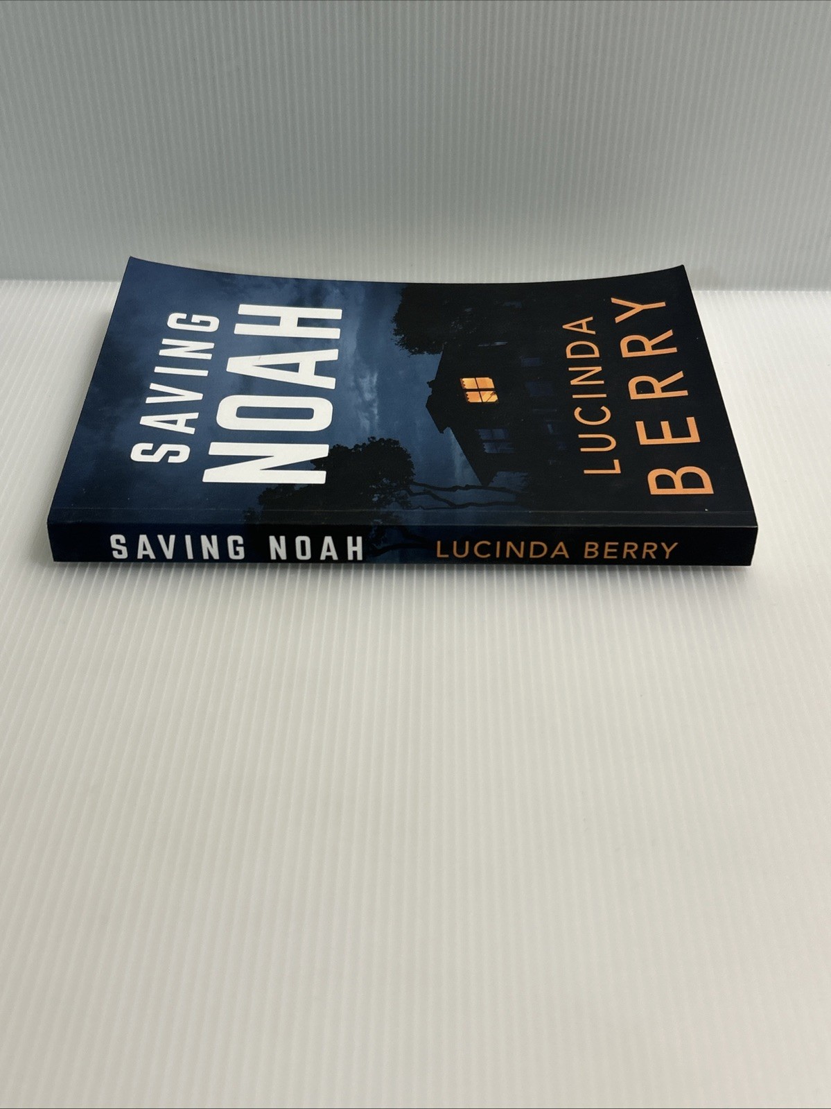Saving Noah by Lucinda Berry Paperback 2017 Novel – Psychological Thriller NEW