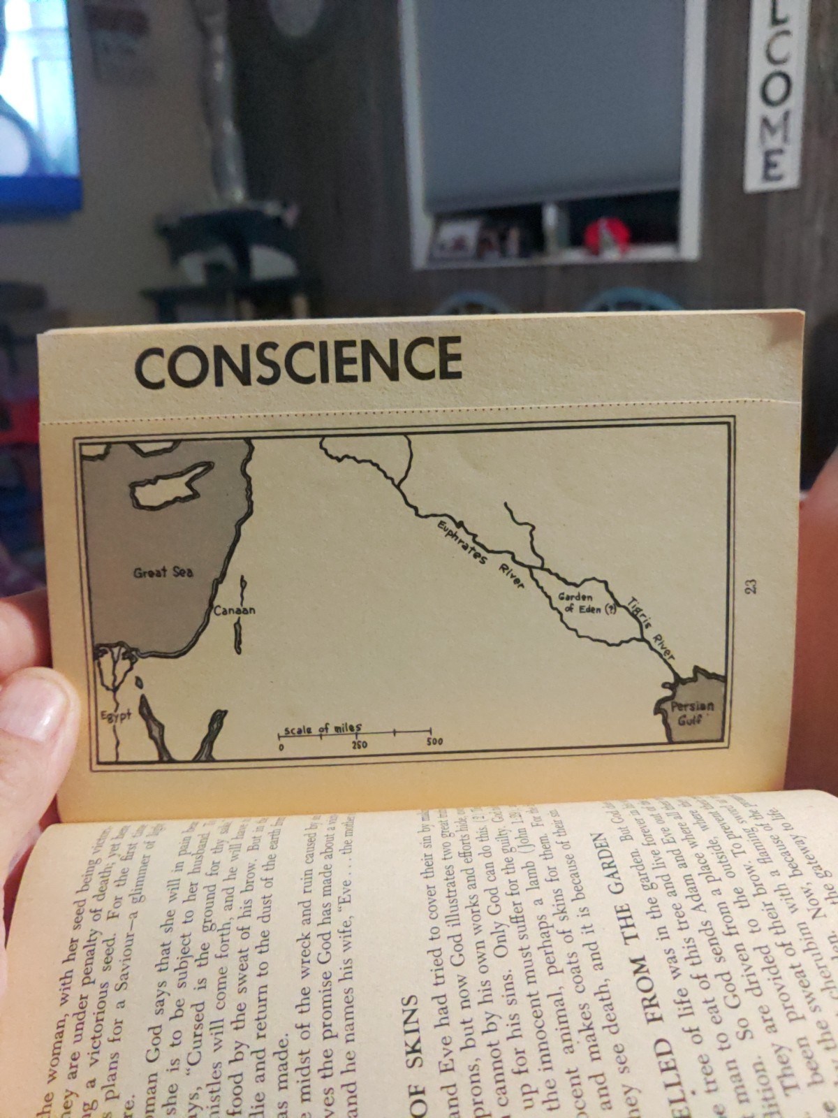 1963 BIBLE HISTORY VISUALIZED Ray Baughman Moody Press Paperback