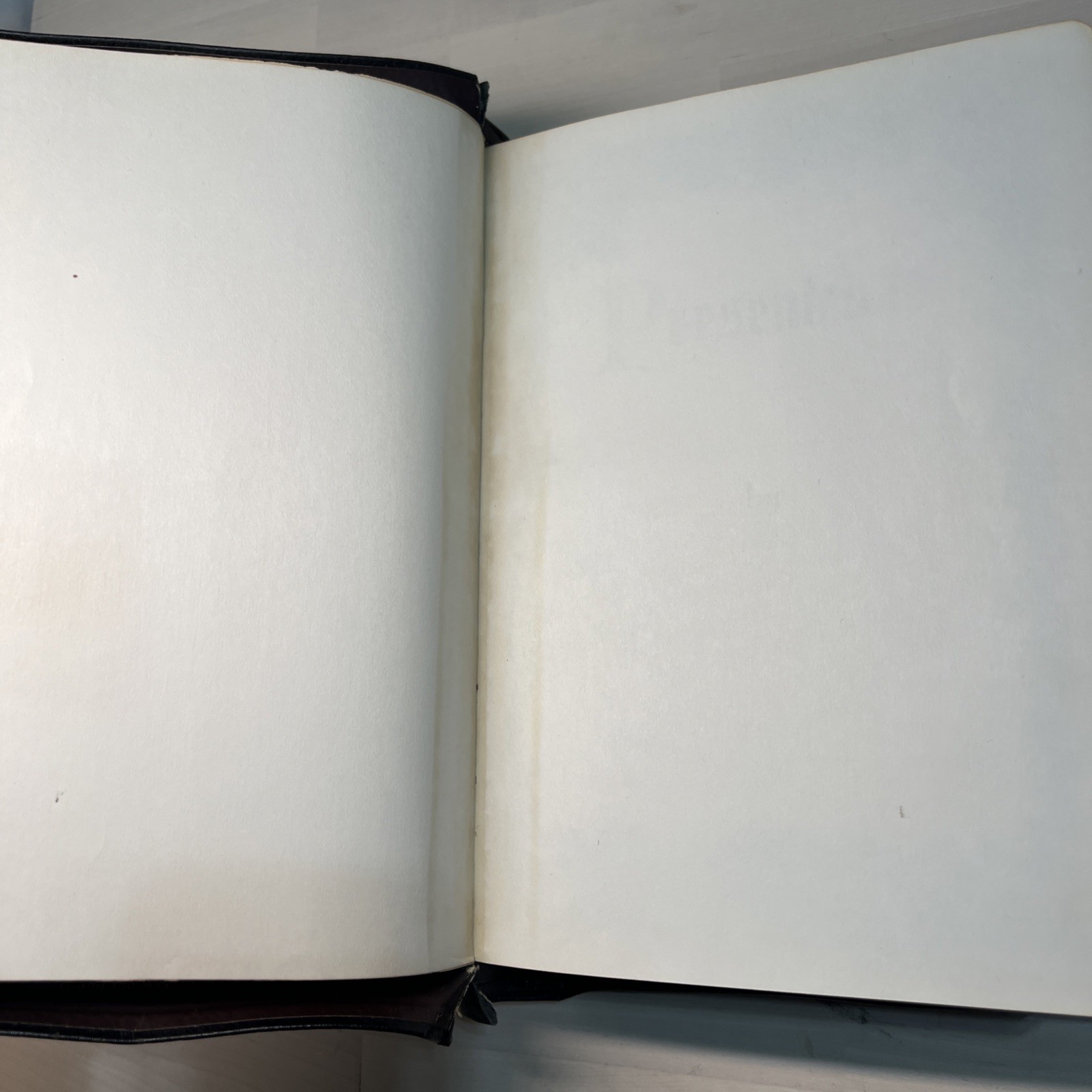 The Holy Bible edited by Rev. John P. O’Connell – 1958