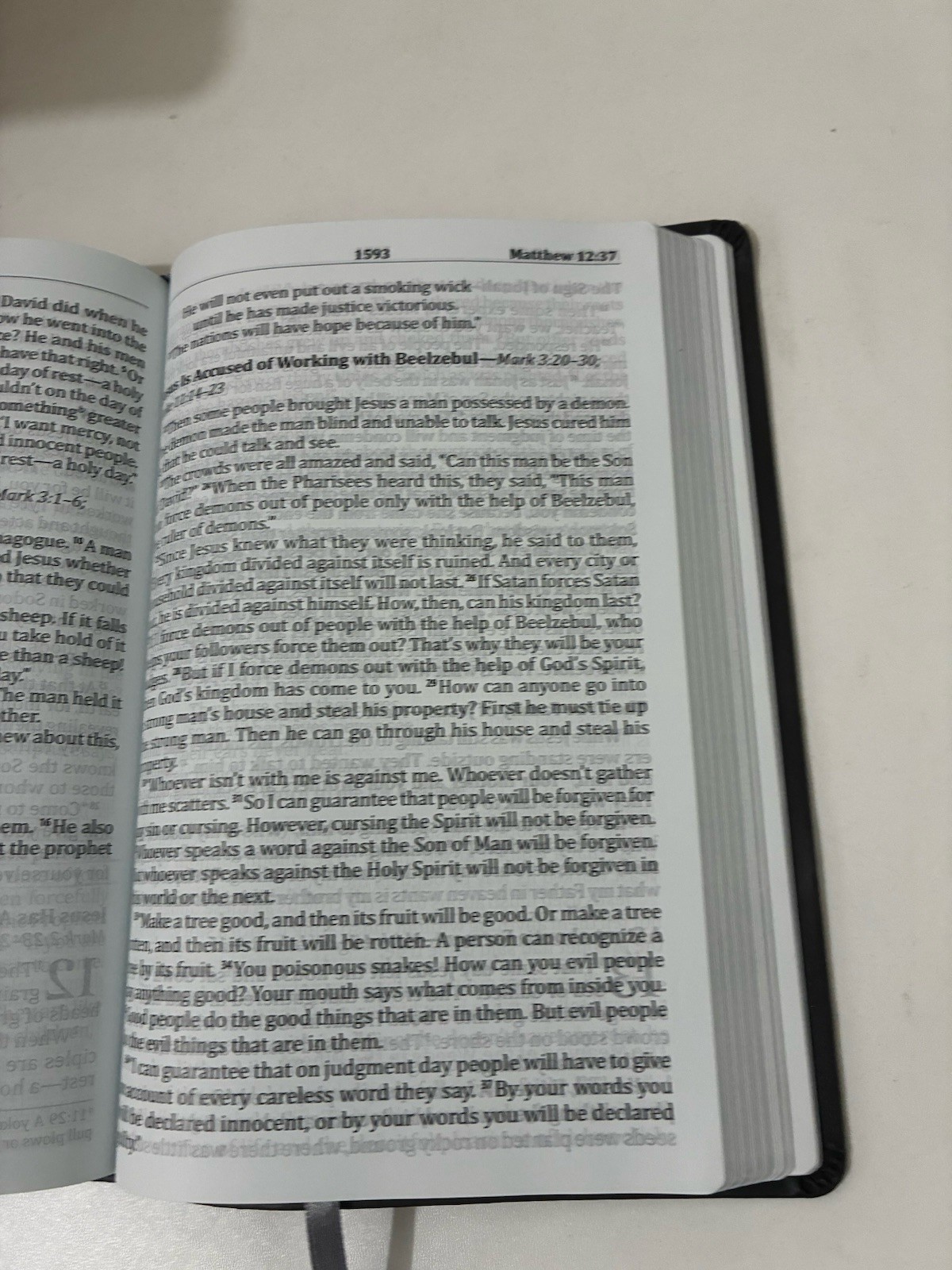 God’s Word Translation Deluxe Large Print Bible Gray Imitation Leather