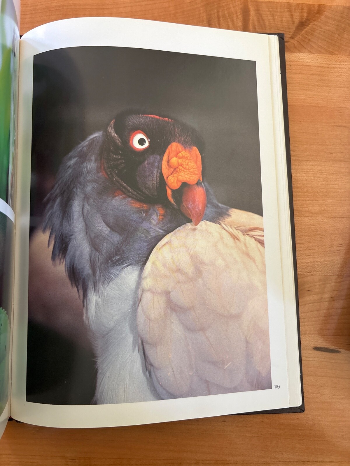 National Parks of Ecuador Hardback 1987 by Jorge Juan Anbalzer 230 Pages Rare