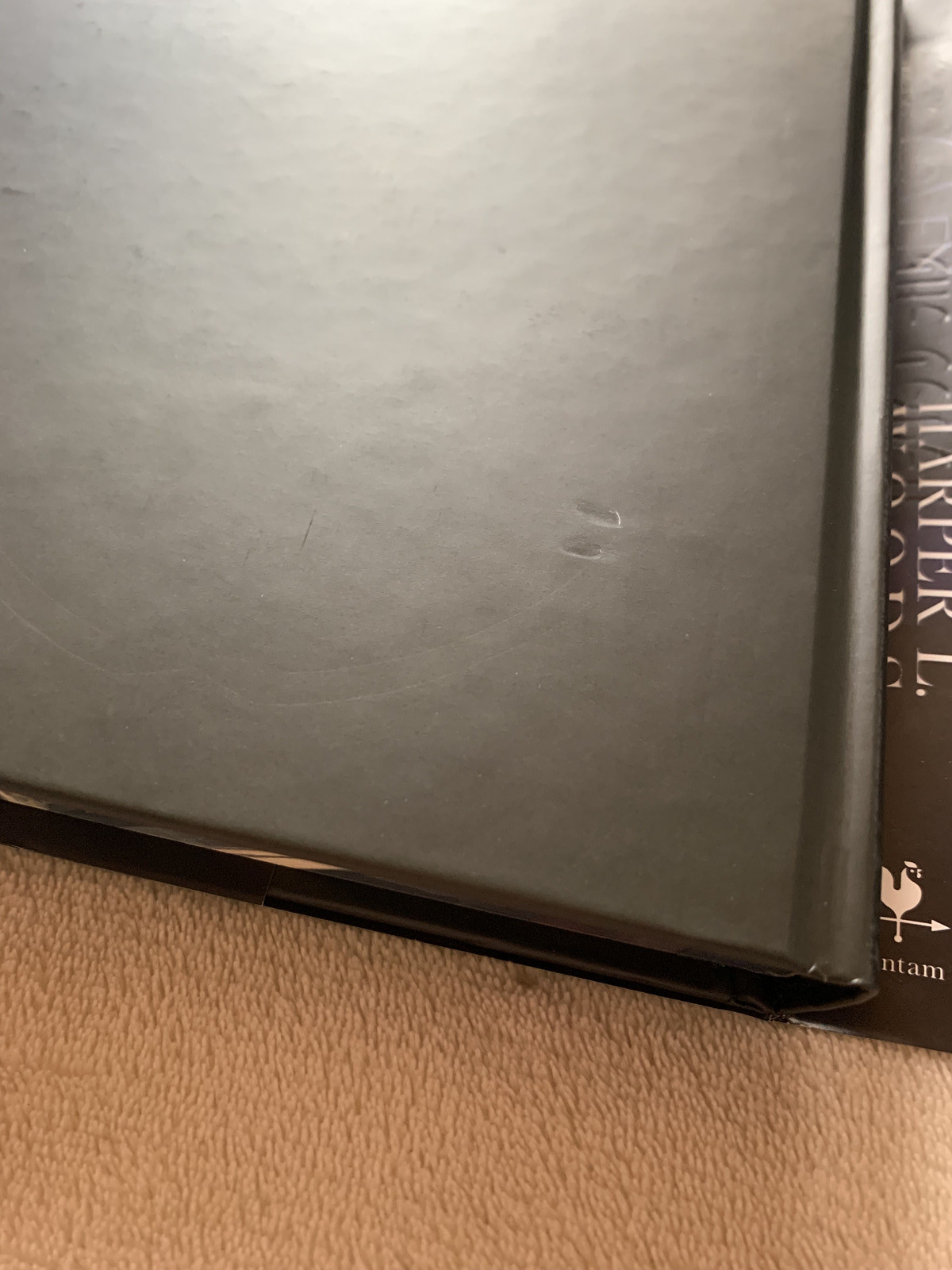 The Coven Fairyloot Exclusive Signed Edition by Harper L. Woods Stenciled Edges