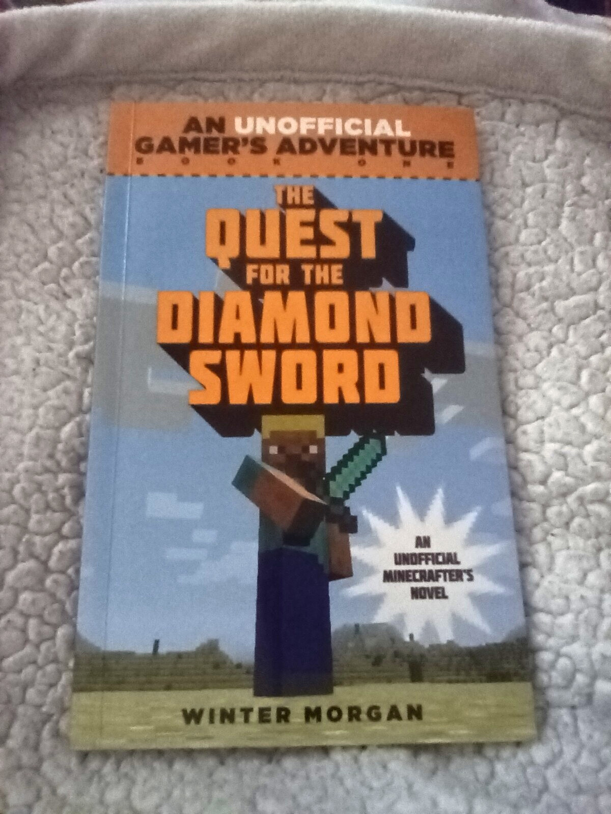 The Quest for the Diamond Sword: An Unofficial Gamer’s Adventure, Book One