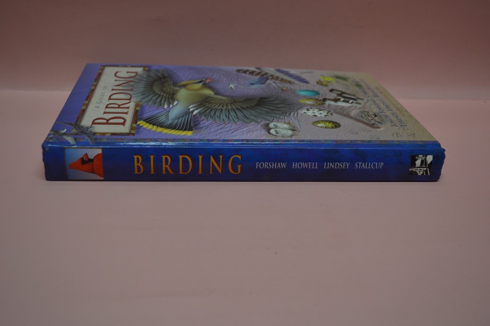 A Guide To Birding♐