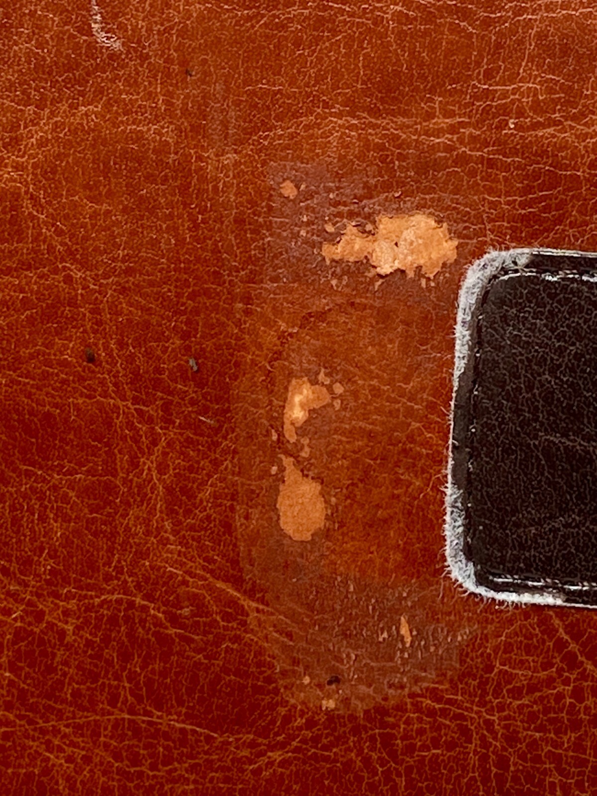 One Year Bible by Tyndale House Publishers Staff 2004, Imitation Leather