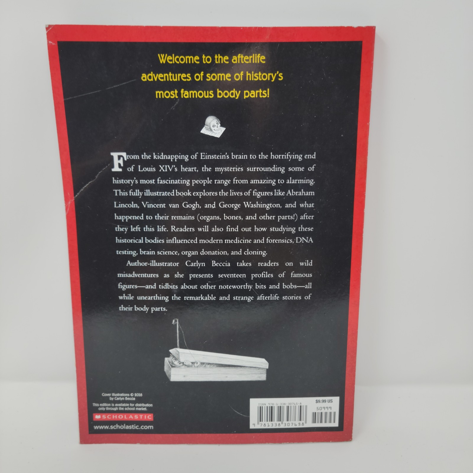 THEY LOST THEIR HEADS Book Carlyn Beccia 2018 Scholastic Paperback