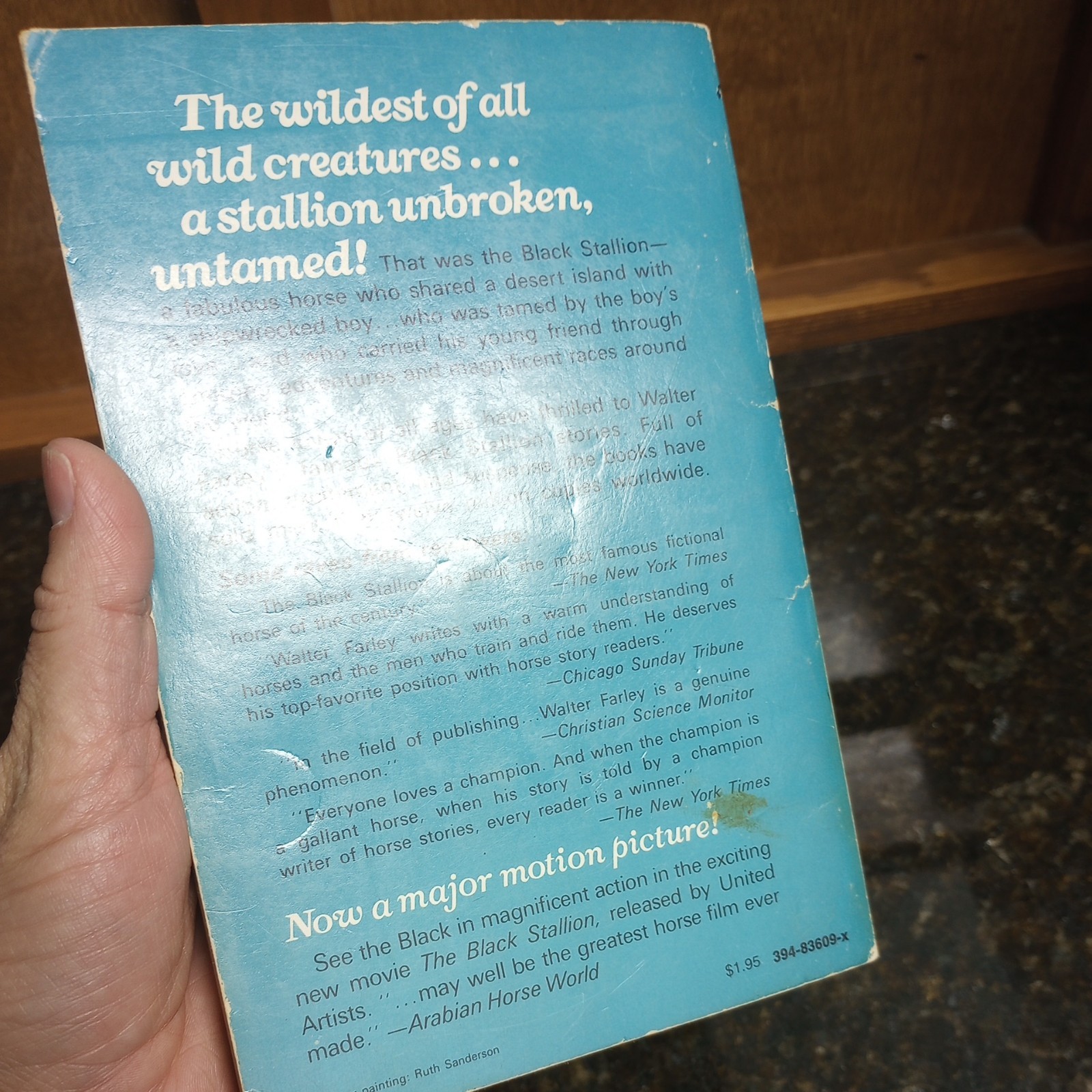 The Black Stallion Set Of varies Paperback Books 1980’s Walter Farley LOT of 6