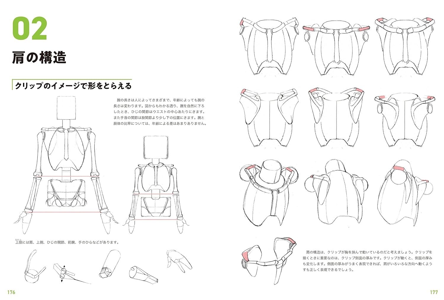 Master Guide to Drawing the Human Body : Character Drawing from the Basics Japan