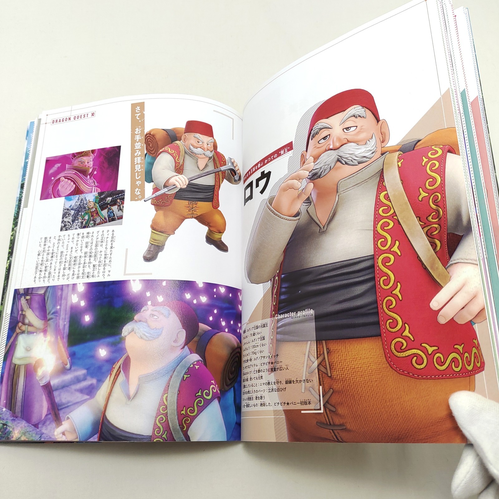 Dragon Quest XI: Echoes of an Elusive Age Character Book 1st Ed JP Out of print